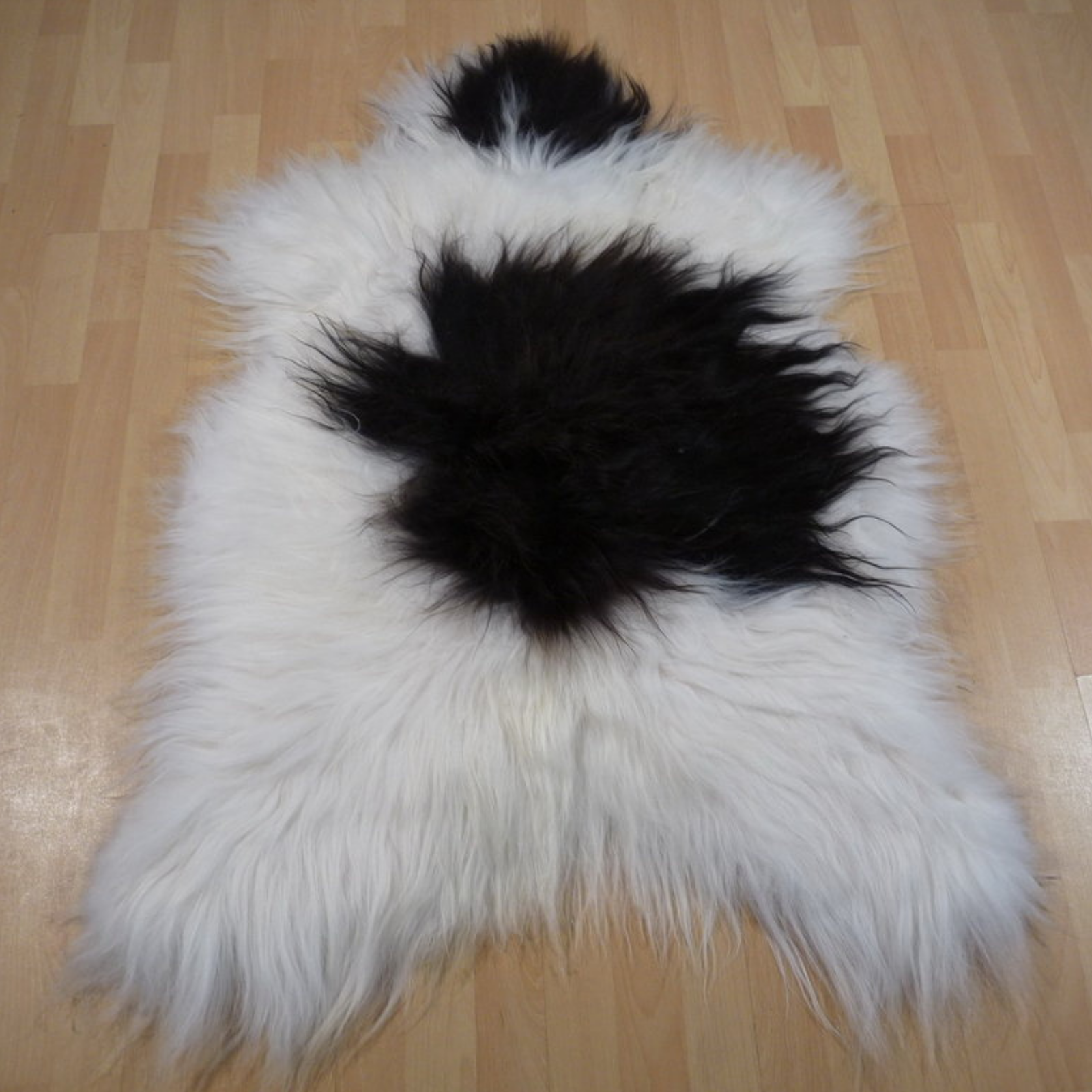 Exklusives Unikat Islandschaffell weiß - dunkelbraun 125x90cm #12086