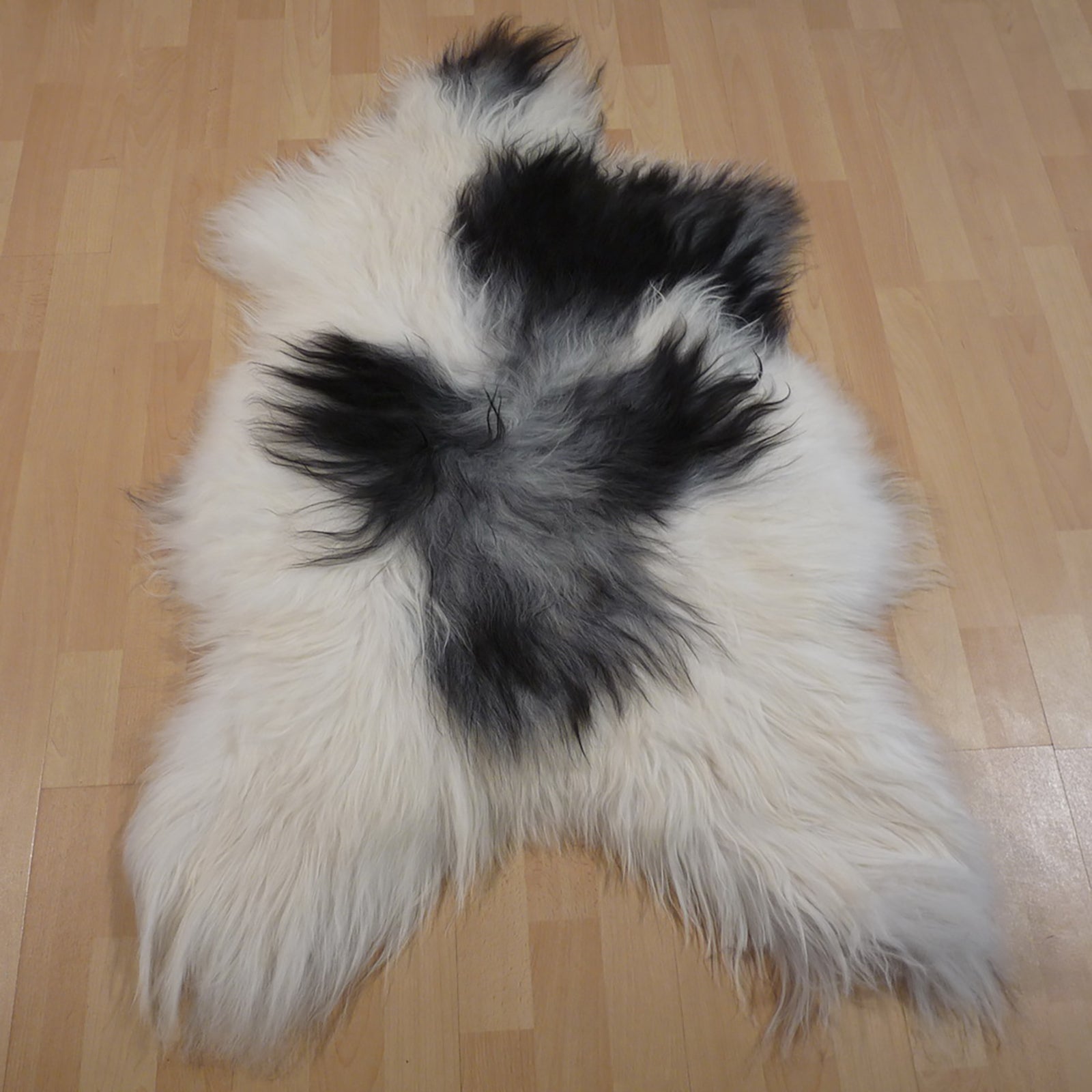 Exklusives Unikat Islandschaffell weiß - grau - schwarz 125x80cm #12346
