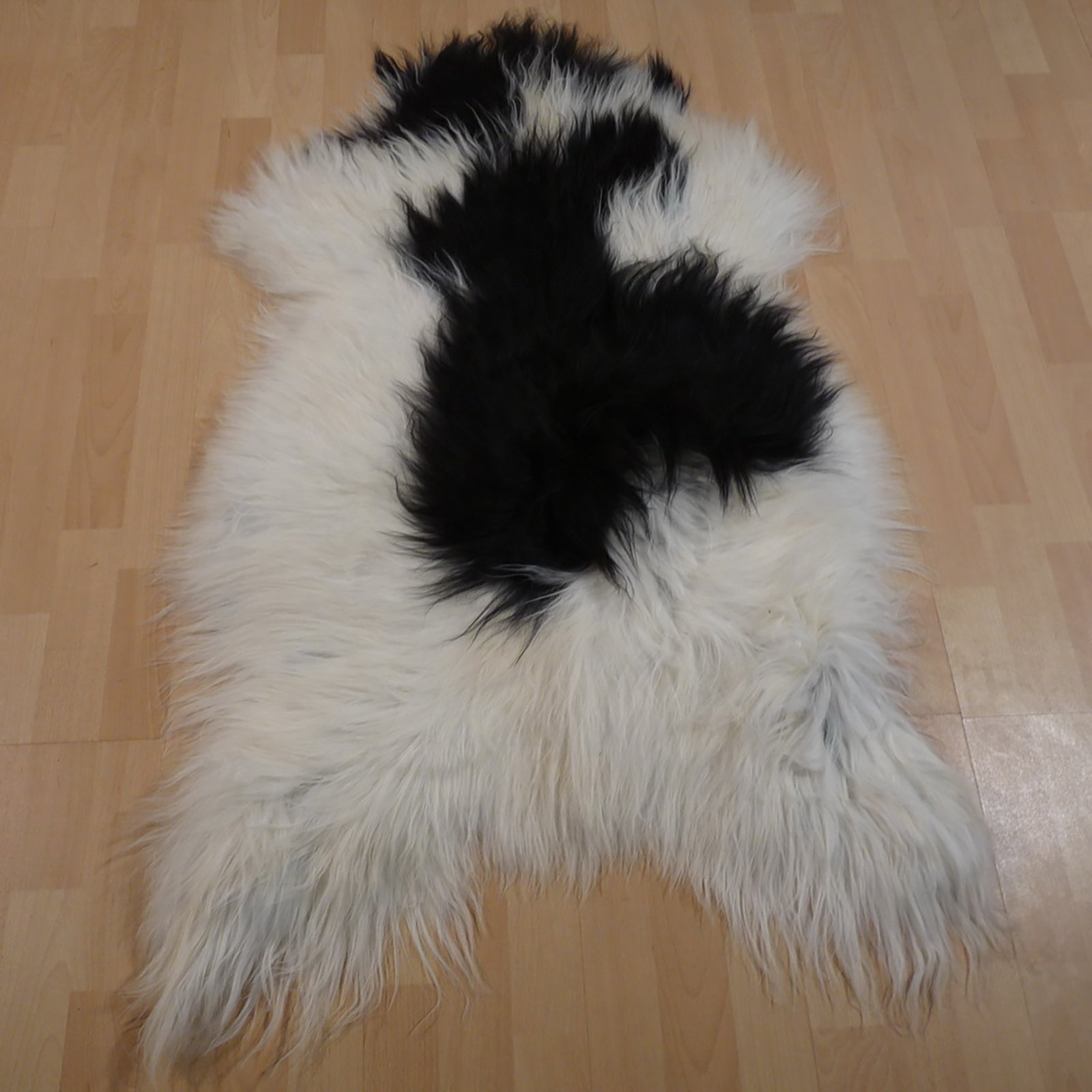 Exklusives Unikat Islandschaffell weiß - schwarz 120x80cm #12362