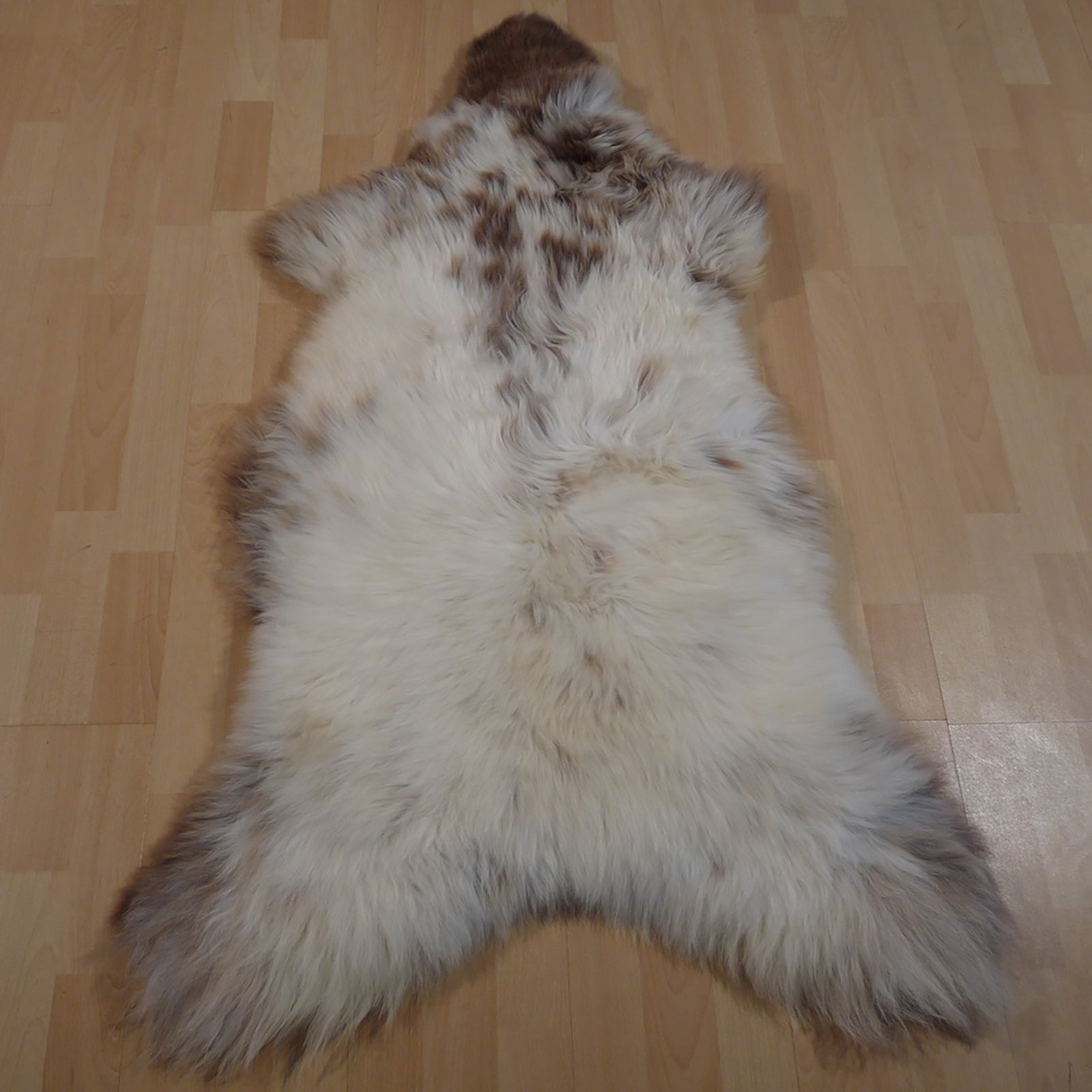 Exklusives Unikat Schaffell weiß - braun 125x80cm #12387