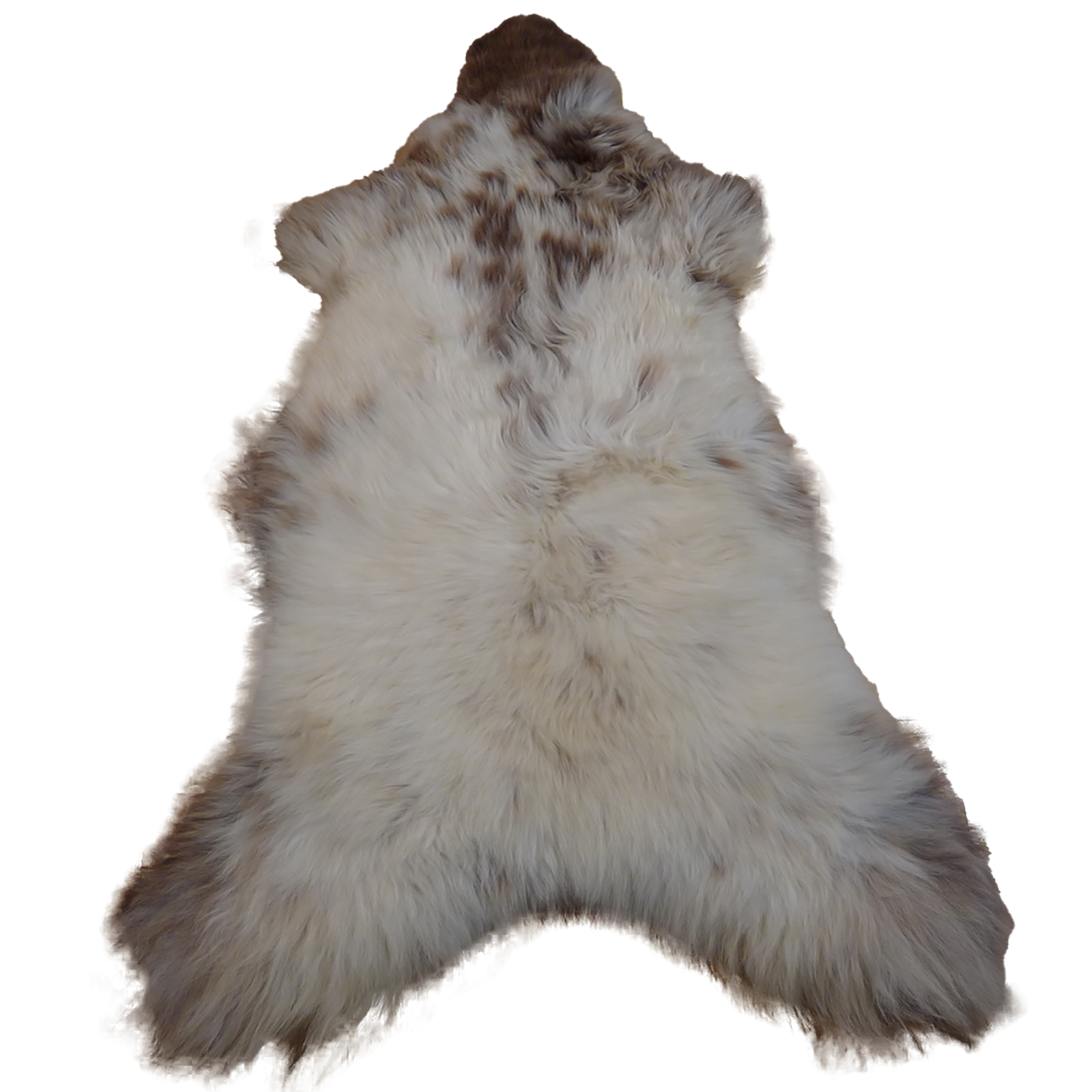 Exklusives Unikat Schaffell weiß - braun 125x80cm #12387