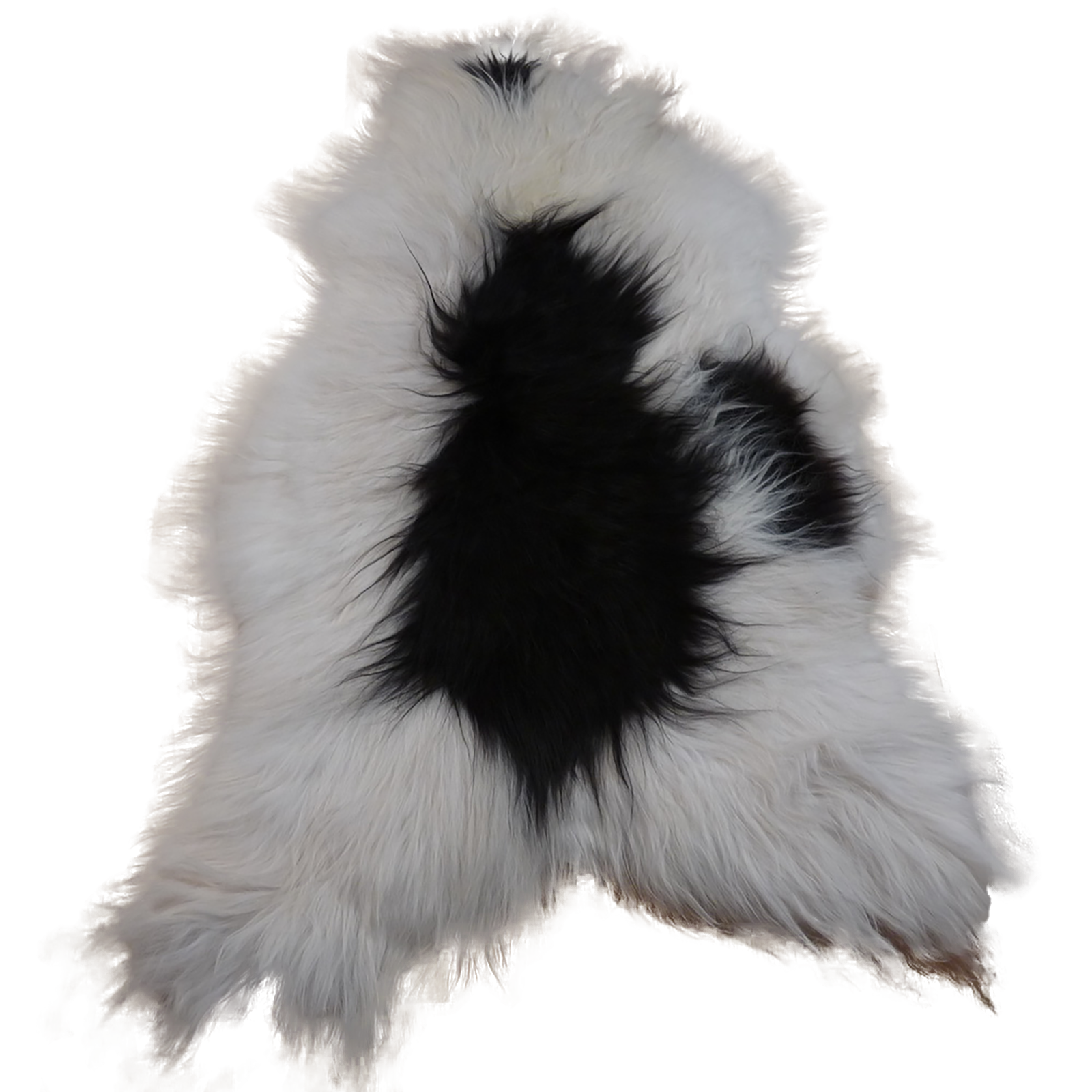 Exklusives Unikat Islandschaffell weiß - schwarz 125x85cm #12501