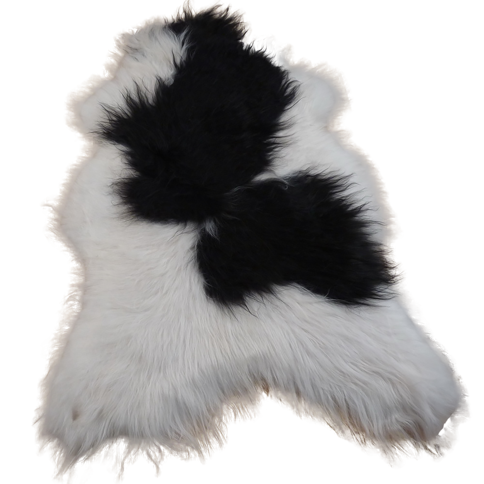 Exklusives Unikat Islandschaffell weiß - schwarz 130x90cm #12565