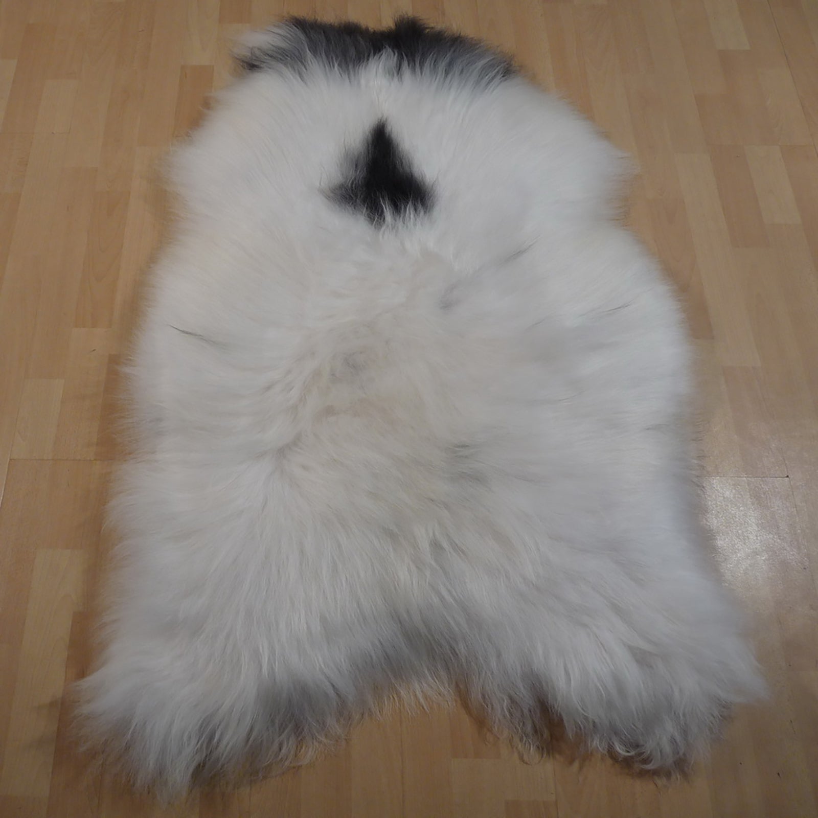 Exklusives Unikat Islandschaffell weiß - schwarz 130x90cm #12578