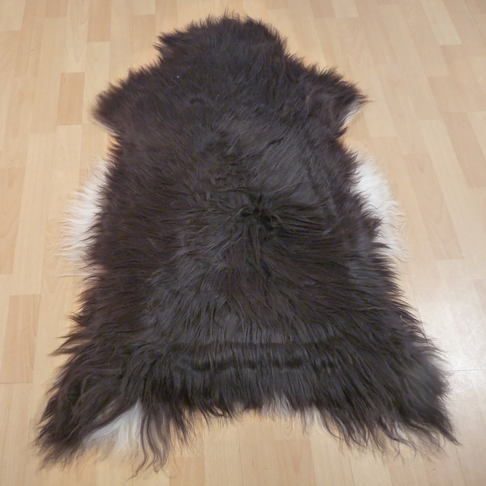 Exklusives Unikat Islandschaffell dunkelbraun - weiß 115x85cm #12591