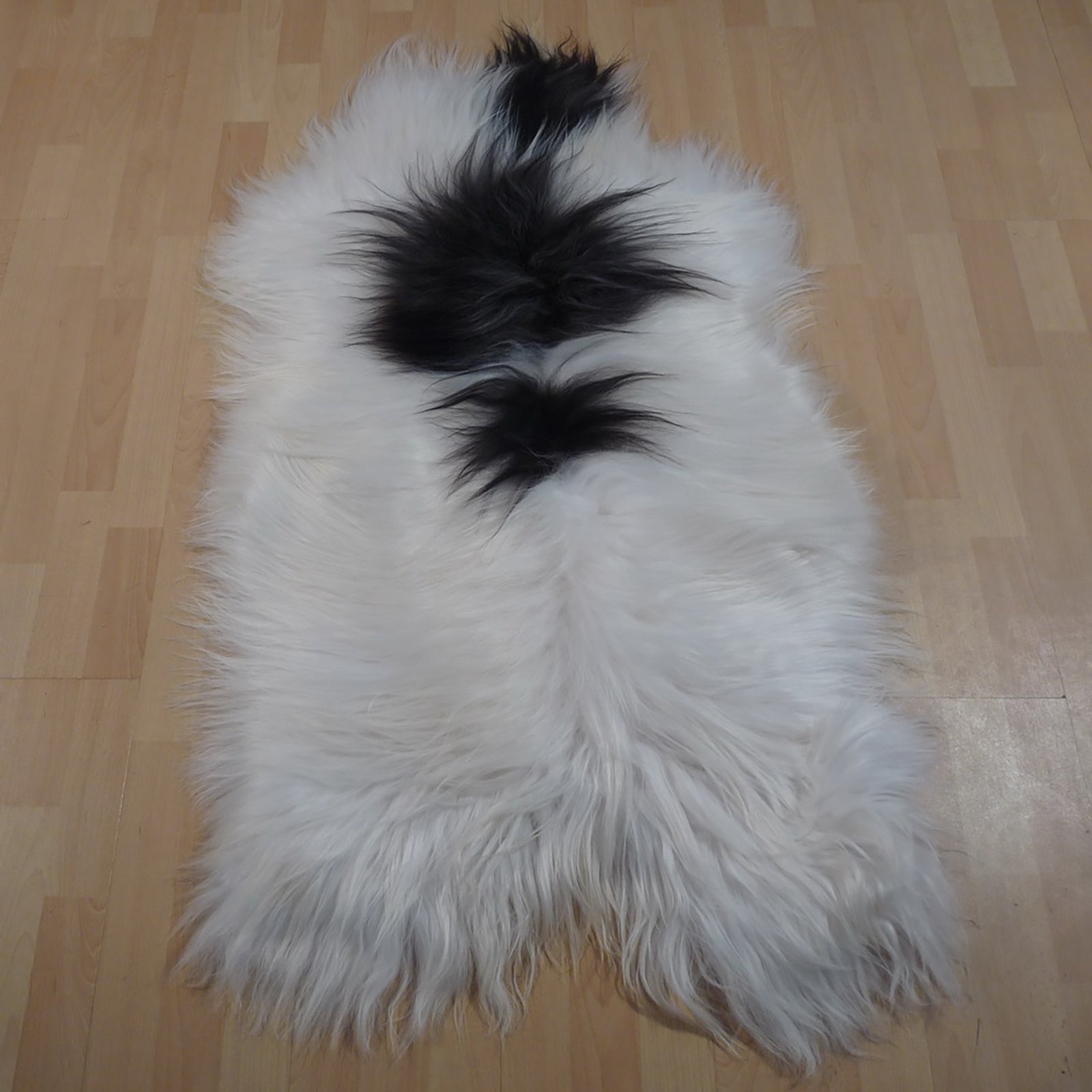 Exklusives Unikat Islandschaffell weiß - schwarz 135x85cm #12625