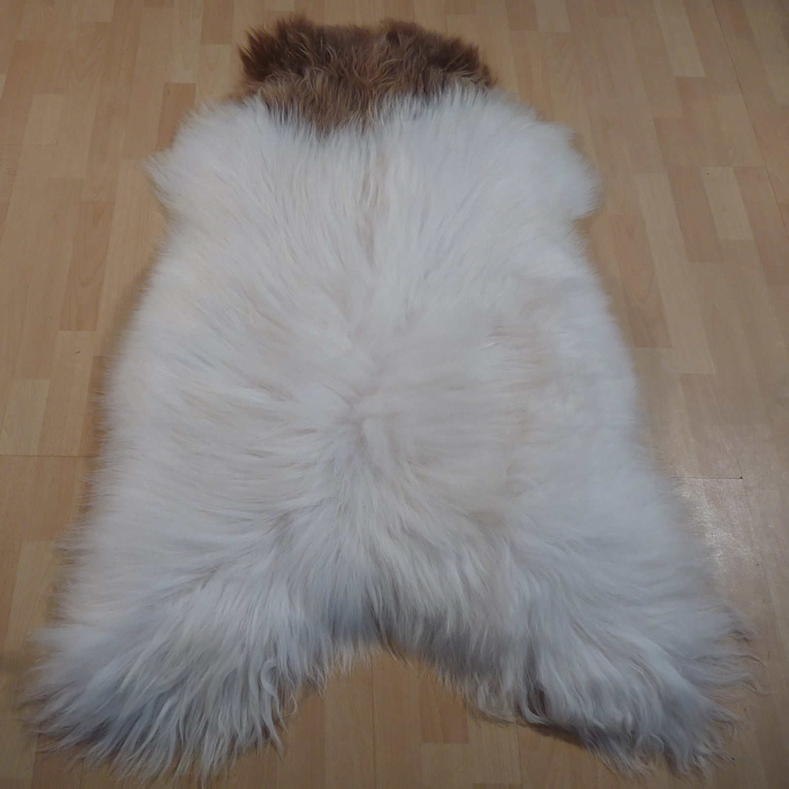 Exklusives Unikat Islandschaffell weiß - braun 140x100cm #12629