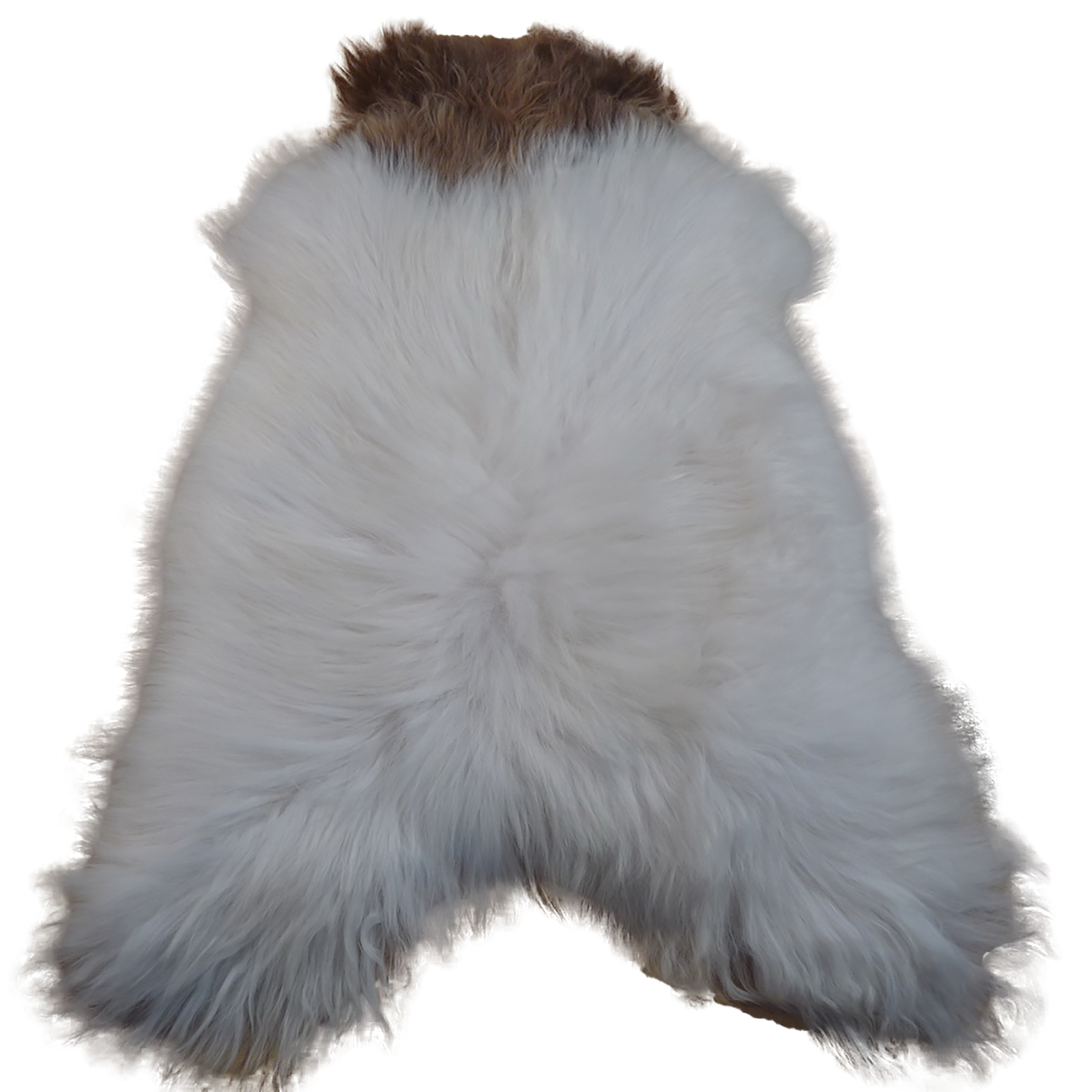 Exklusives Unikat Islandschaffell weiß - braun 140x100cm #12629