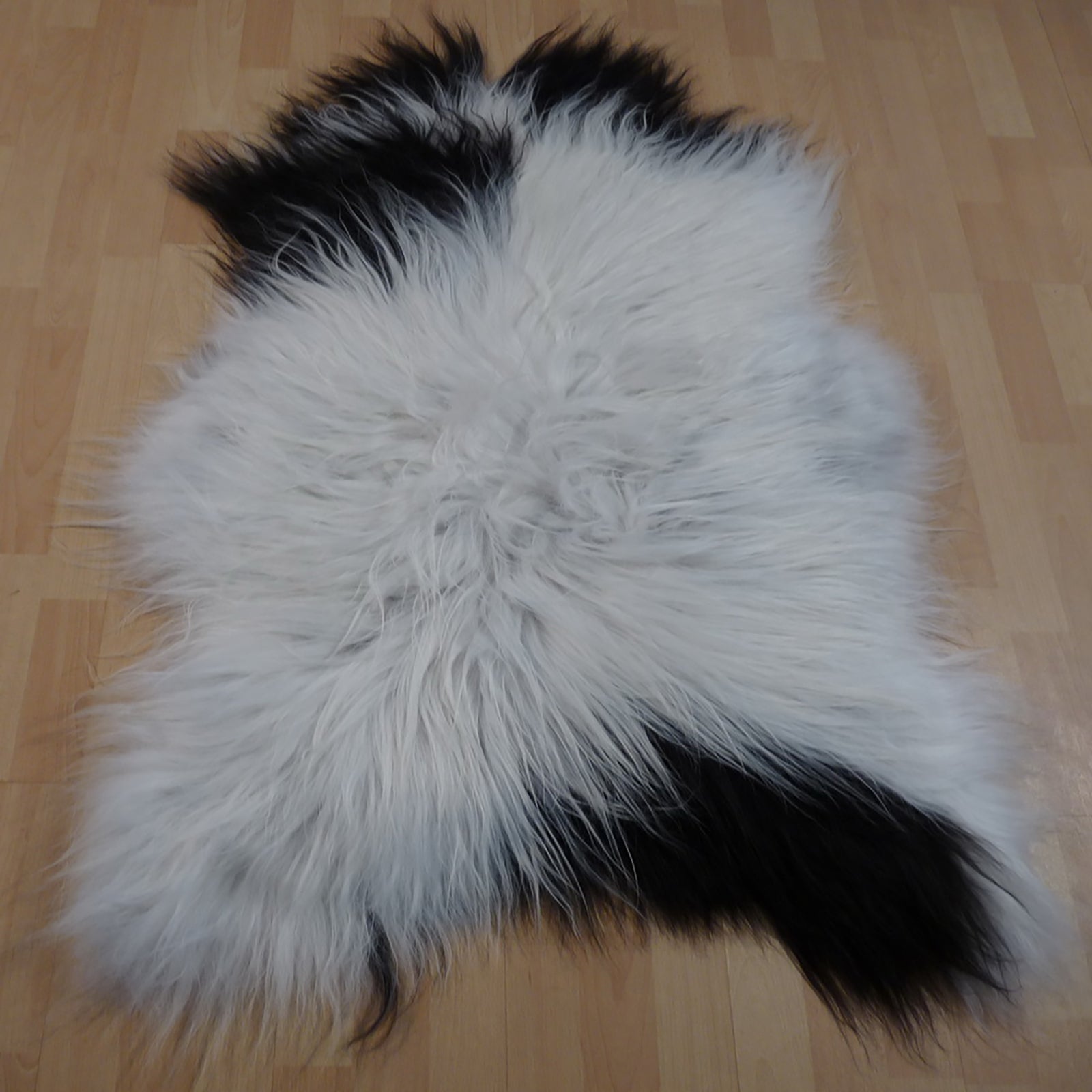 Exklusives Unikat Islandschaffell weiß - schwarz 120x90cm #12722