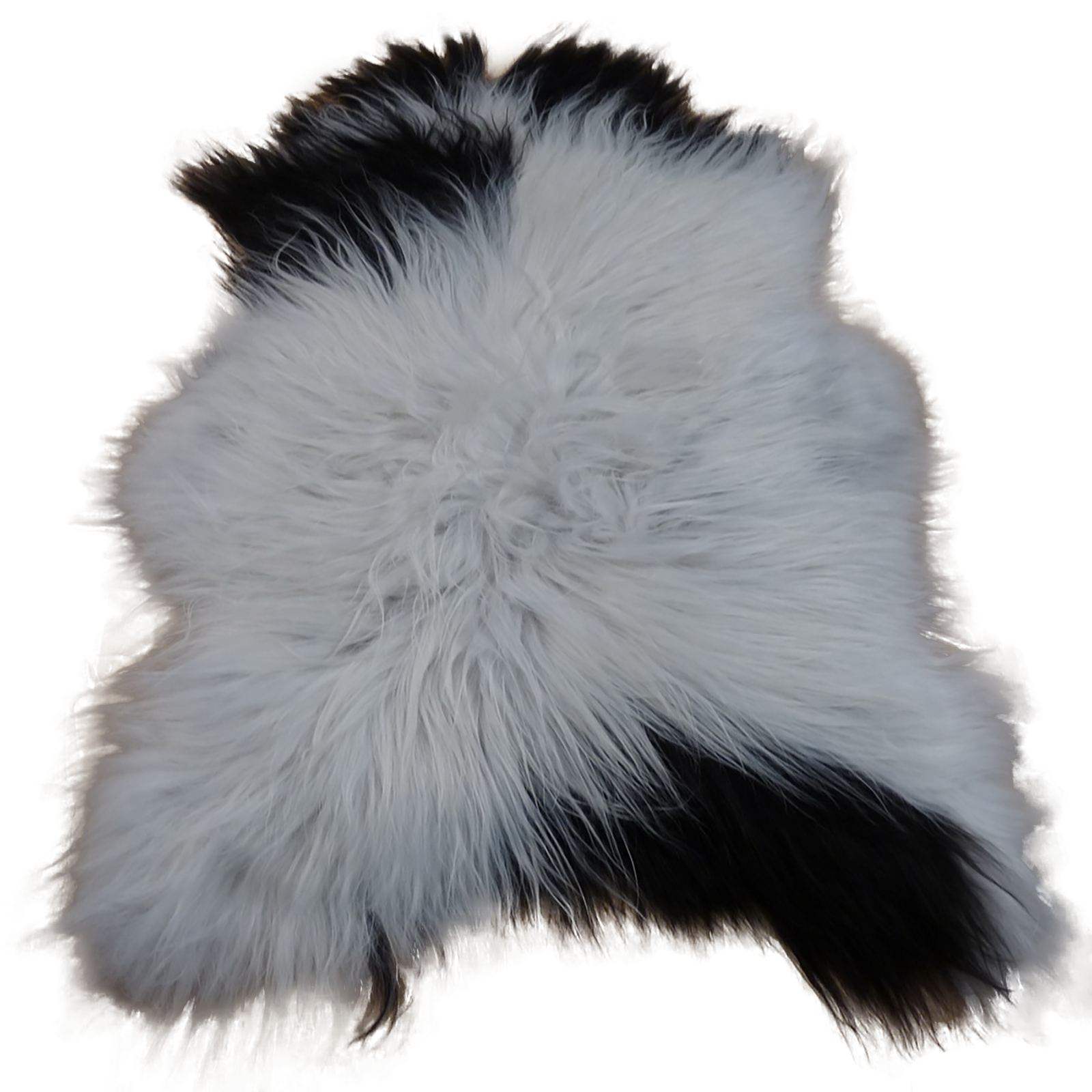 Exklusives Unikat Islandschaffell weiß - schwarz 120x90cm #12722