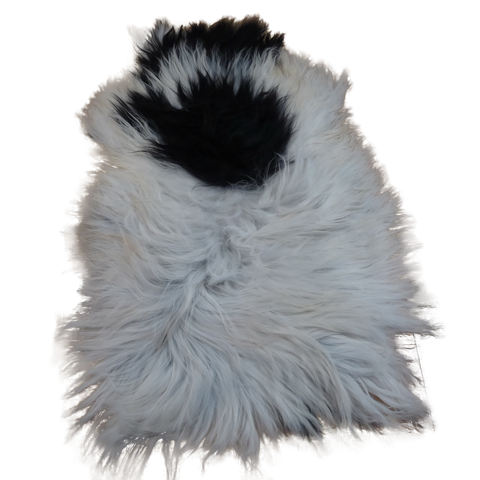 Exklusives Unikat Islandschaffell weiß - schwarz 125x85cm #12740