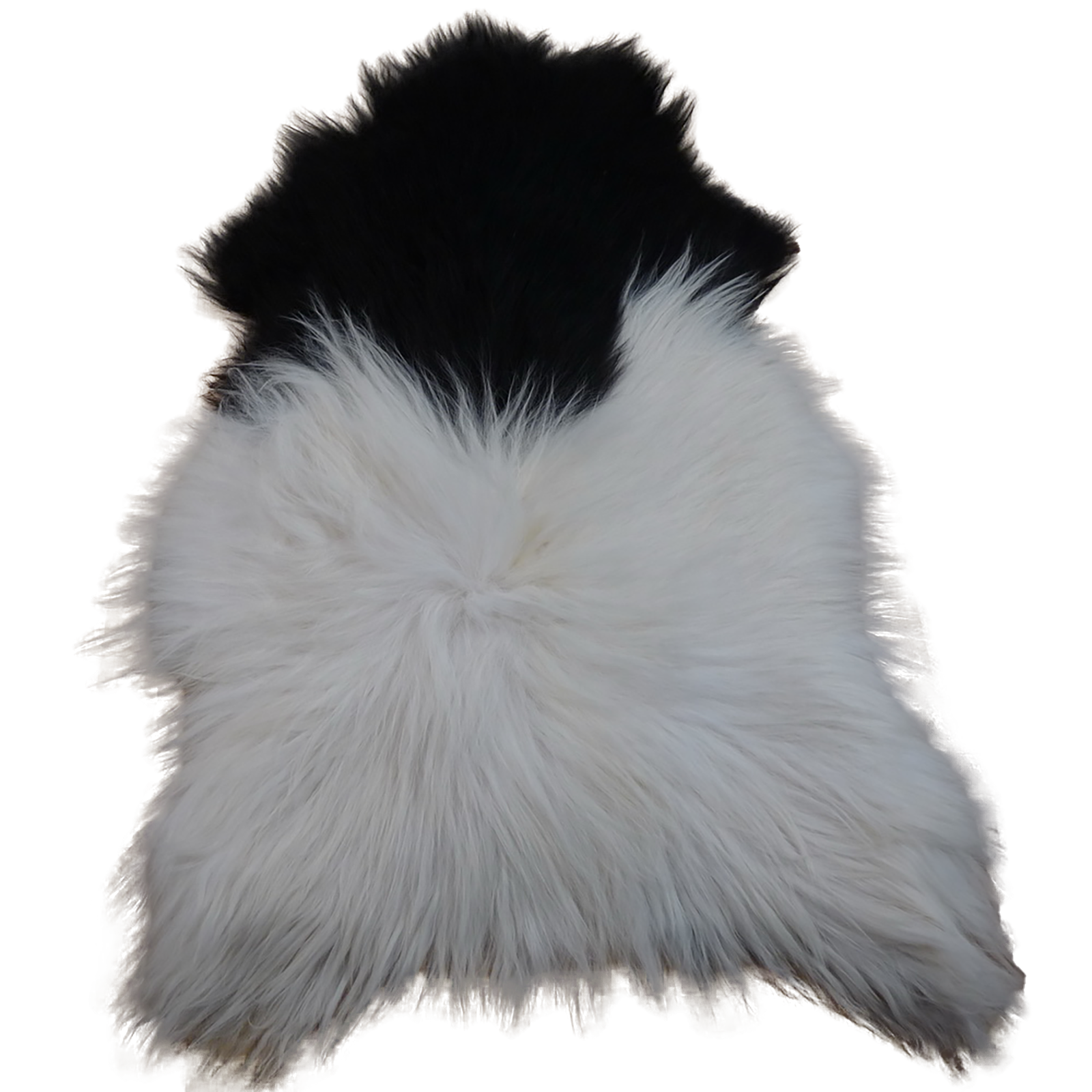 Exklusives Unikat Islandschaffell weiß - schwarz 140x90cm #12747