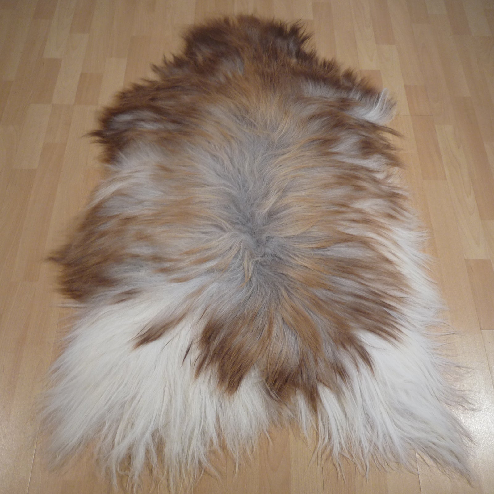 Exklusives Unikat Islandschaffell weiß - braun 140x95cm #14903