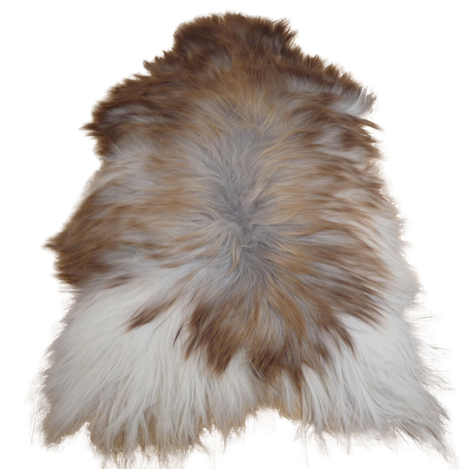 Exklusives Unikat Islandschaffell weiß - braun 140x95cm #14903