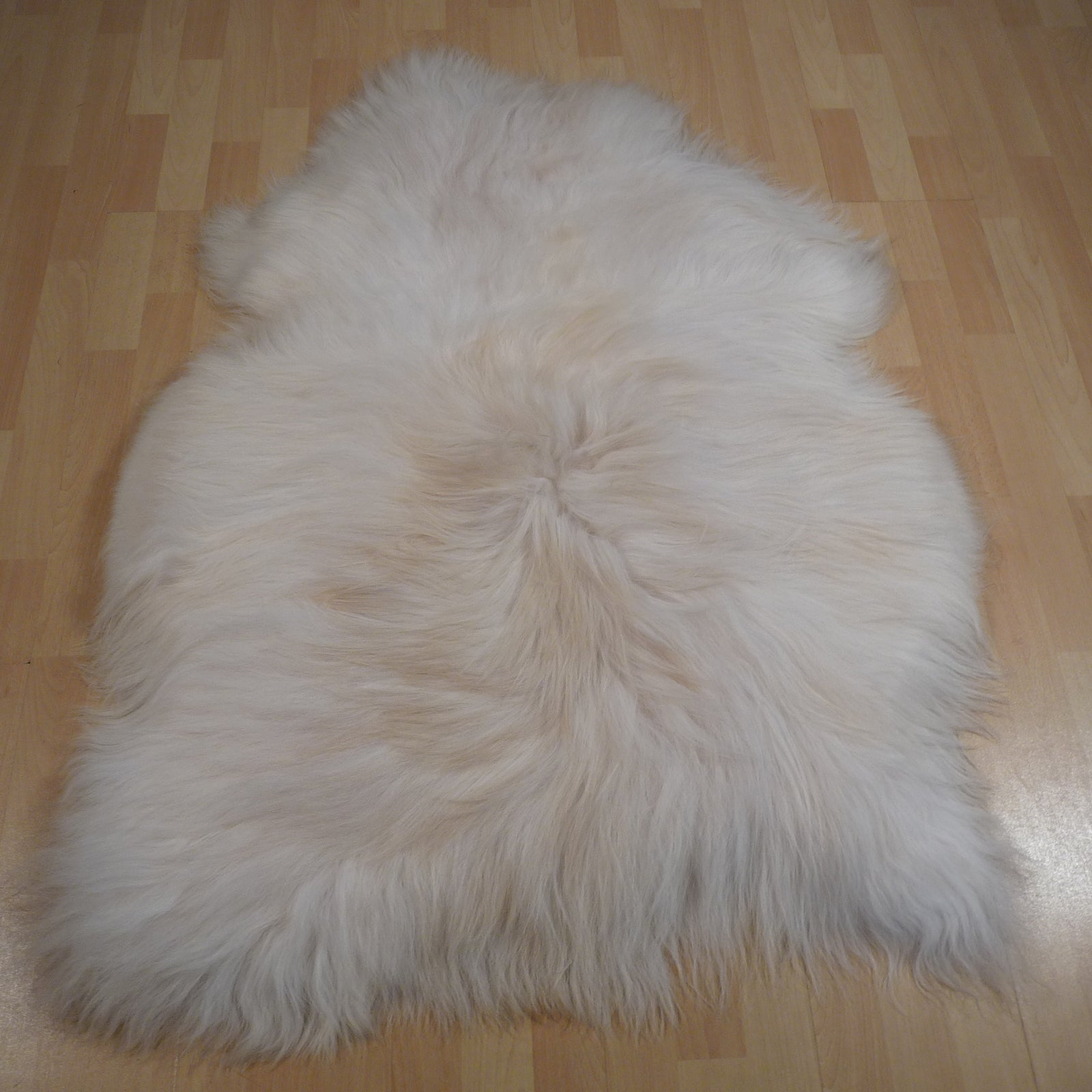 Exklusives Unikat Islandschaffell weiß - blond 135x95cm #14906