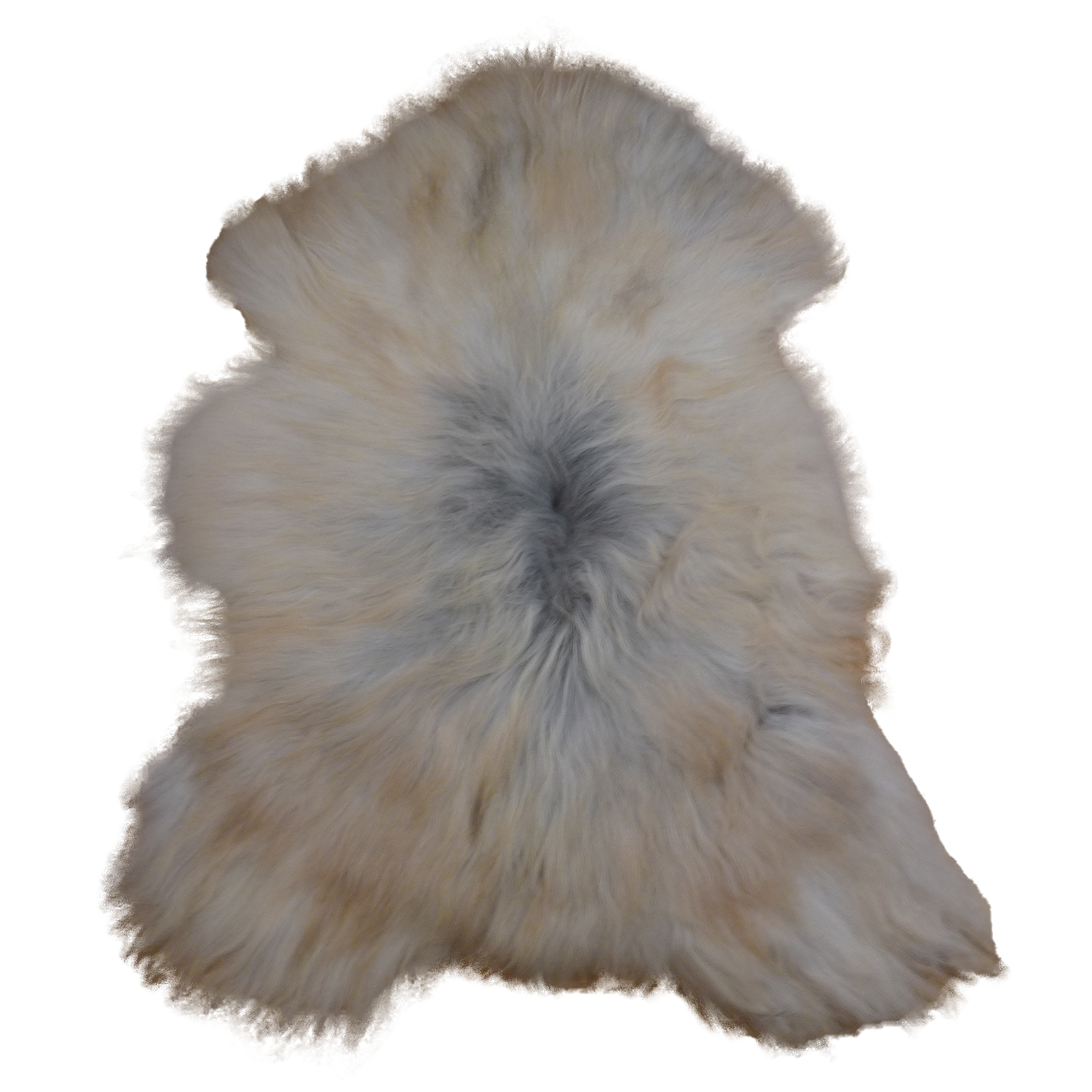 Exklusives Unikat Islandschaffell beige - grau 135x90cm #14909