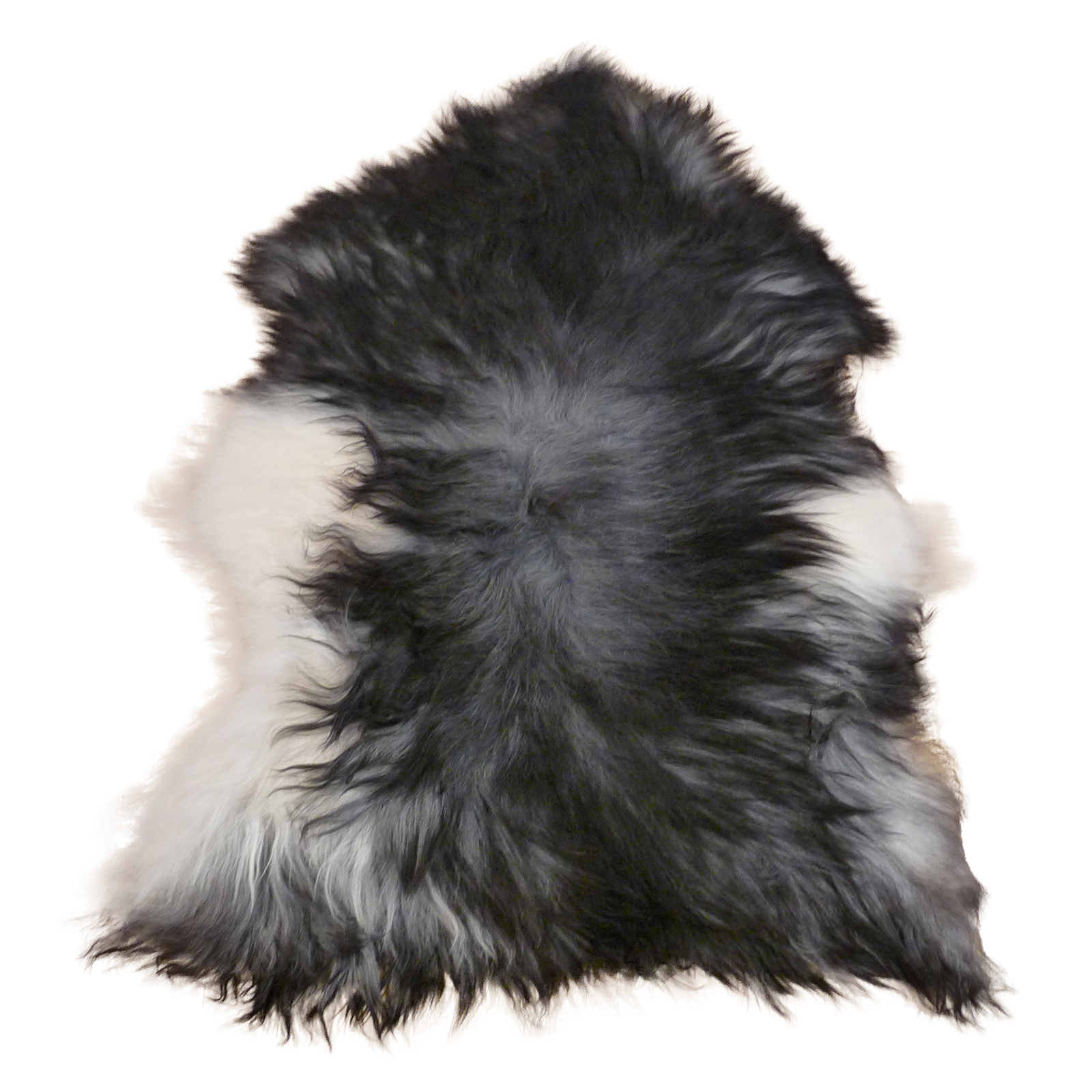 Exklusives Unikat Islandschaffell weiß - schwarz 130x90cm #14951