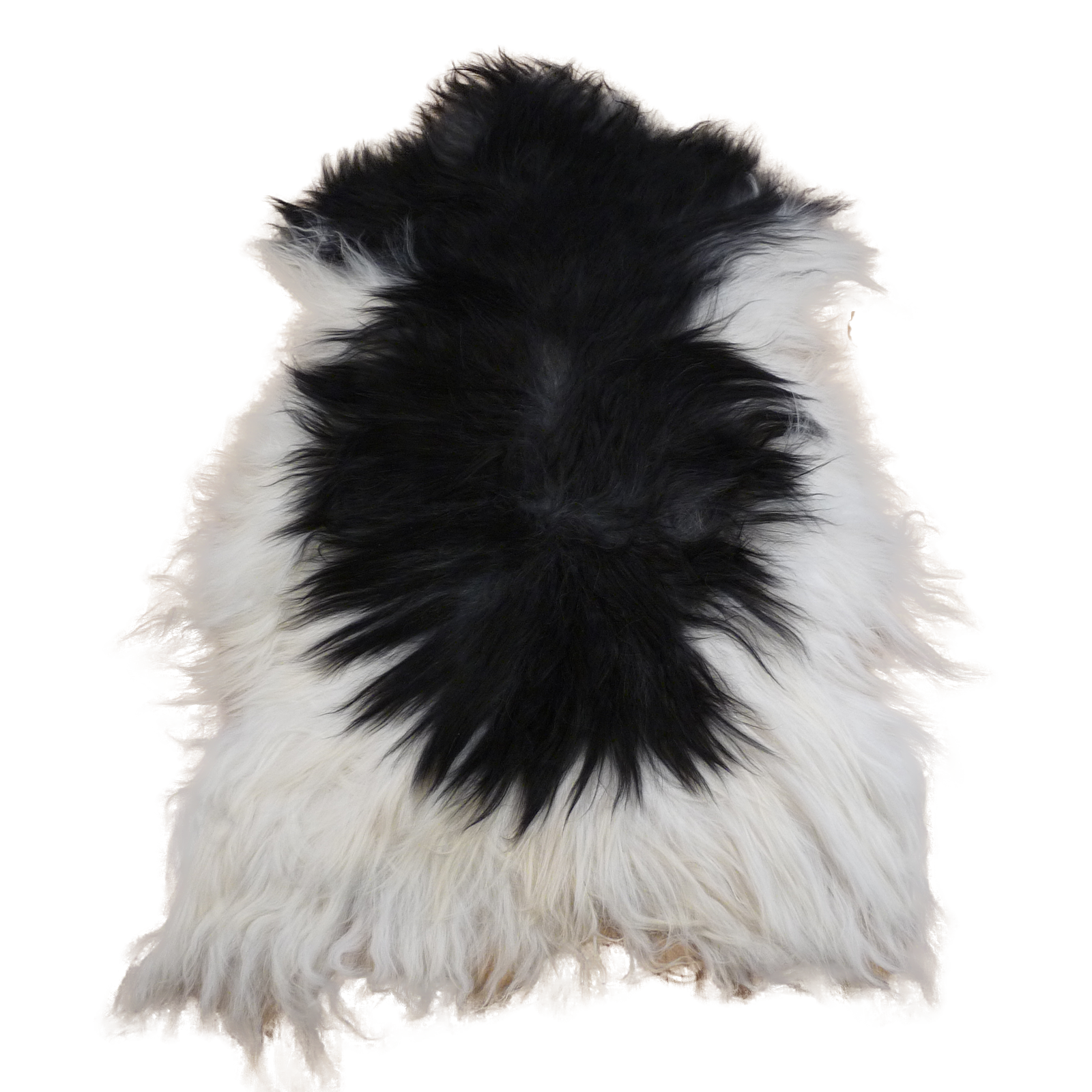 Exklusives Unikat Islandschaffell schwarz - weiß 140x95cm #14970