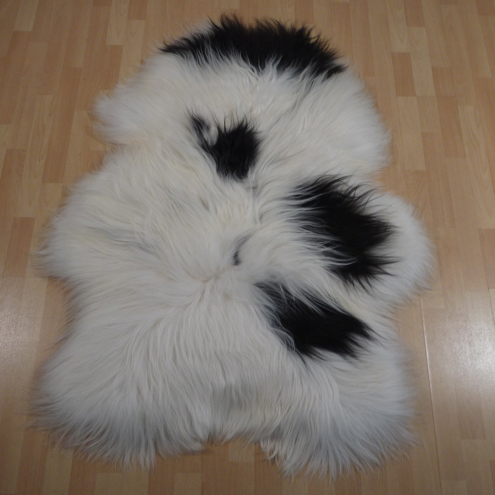 Exklusives Unikat Islandschaffell schwarz - weiß 135x105cm #15794