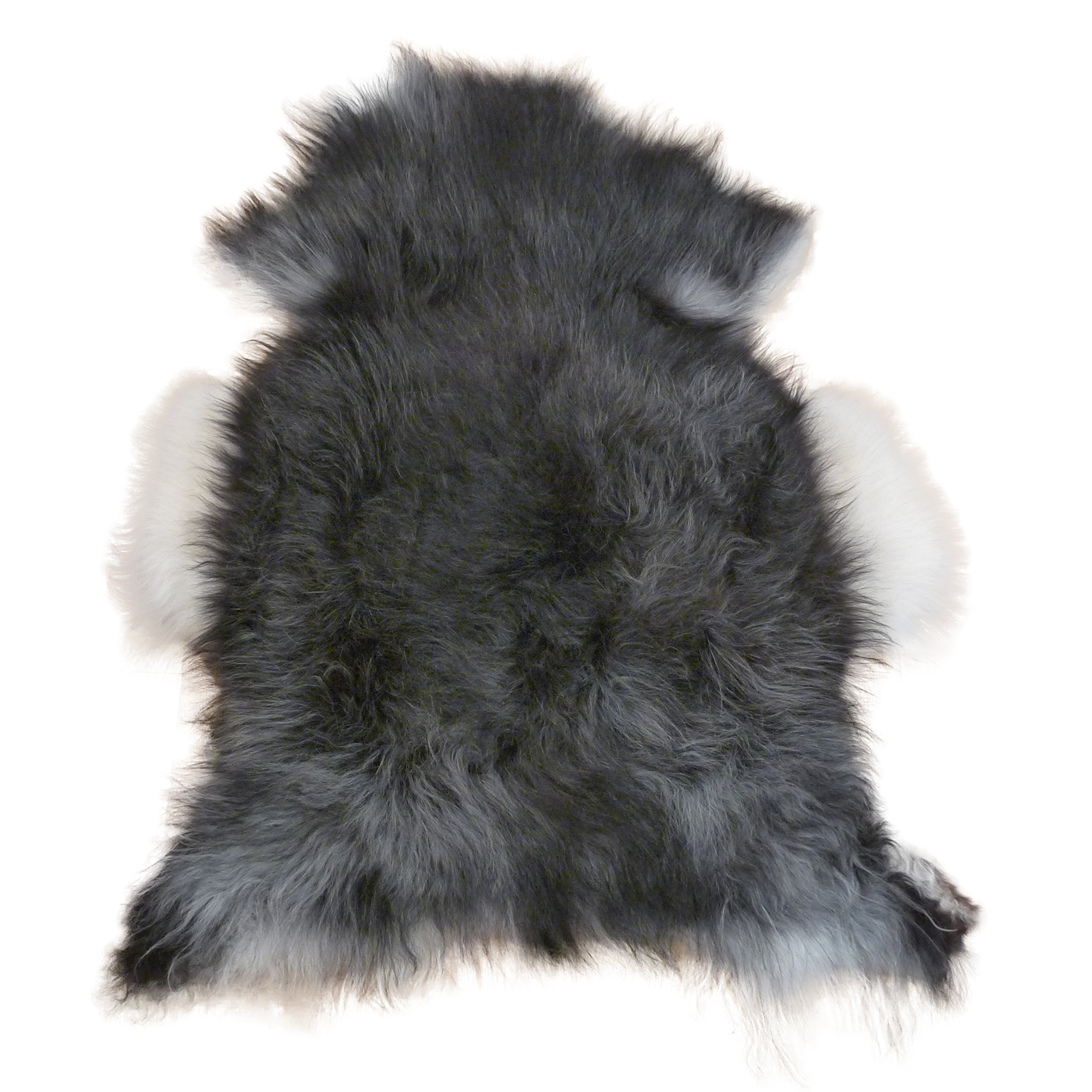 Exklusives Unikat Islandschaffell schwarz - weiß 120x100cm #15819