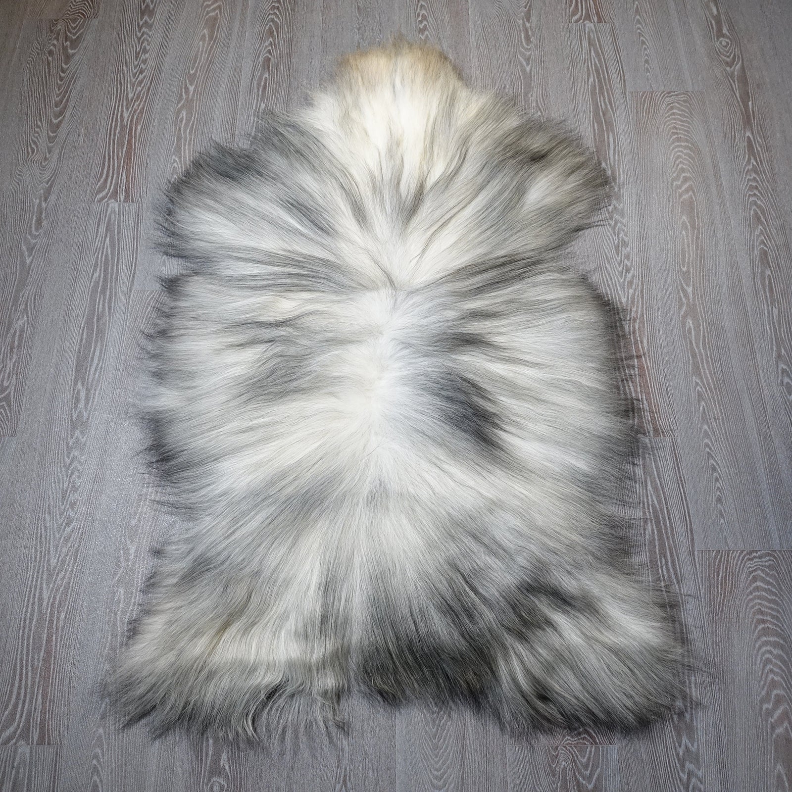 Exklusives Unikat Islandschaffell weiß - grau 140x90cm #15906