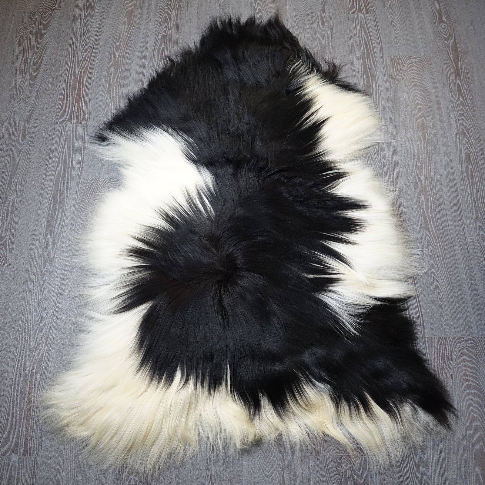 Exklusives Unikat Islandschaffell weiß - schwarz 145x100cm #15907