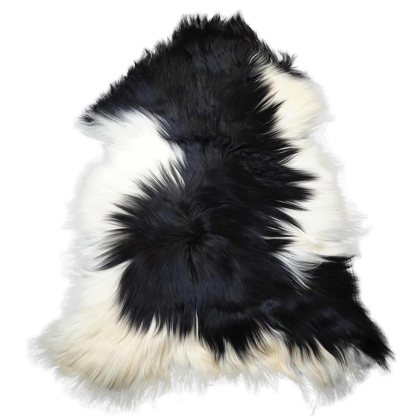 Exklusives Unikat Islandschaffell weiß - schwarz 145x100cm #15907