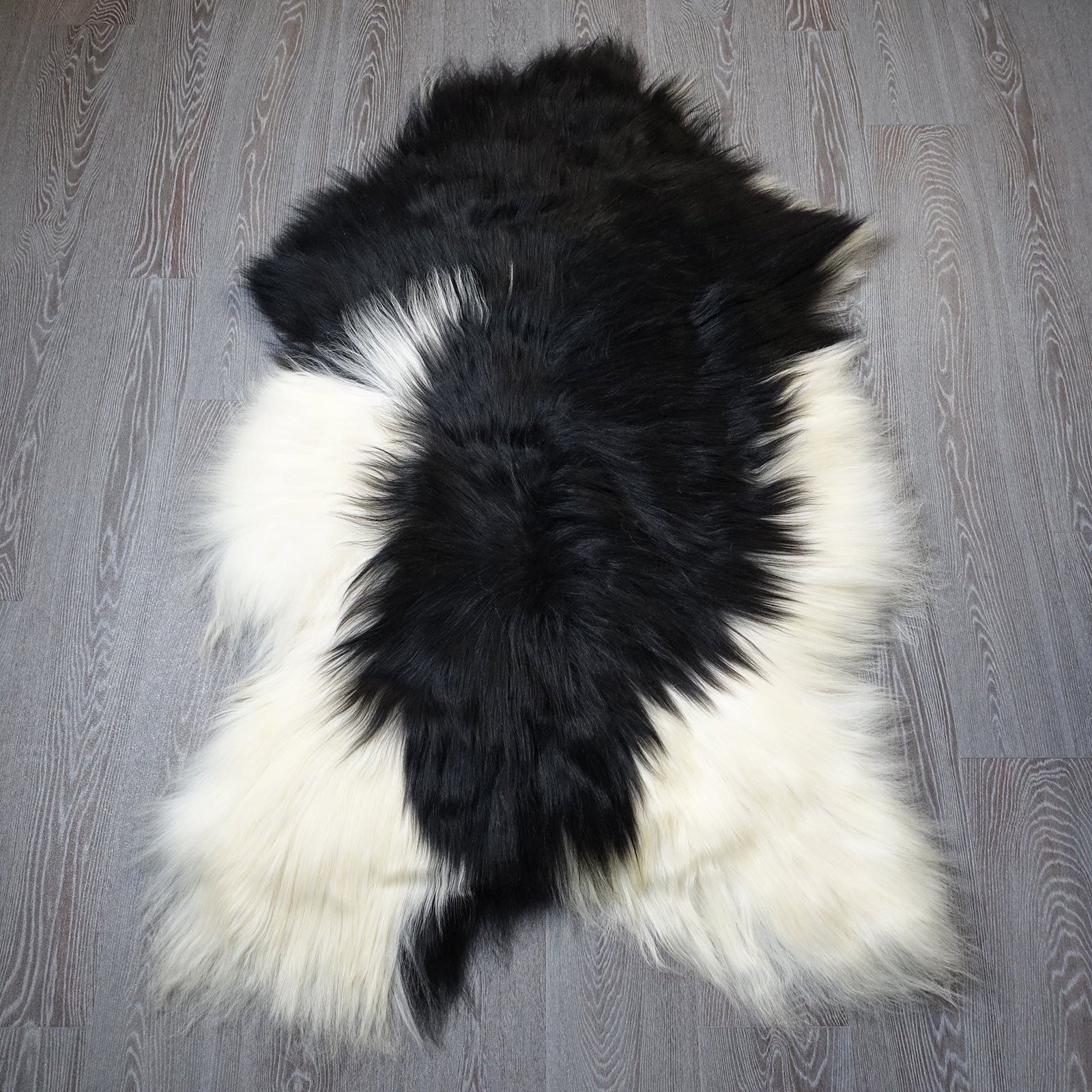 Exklusives Unikat Islandschaffell schwarz - weiß 145x95cm #15910