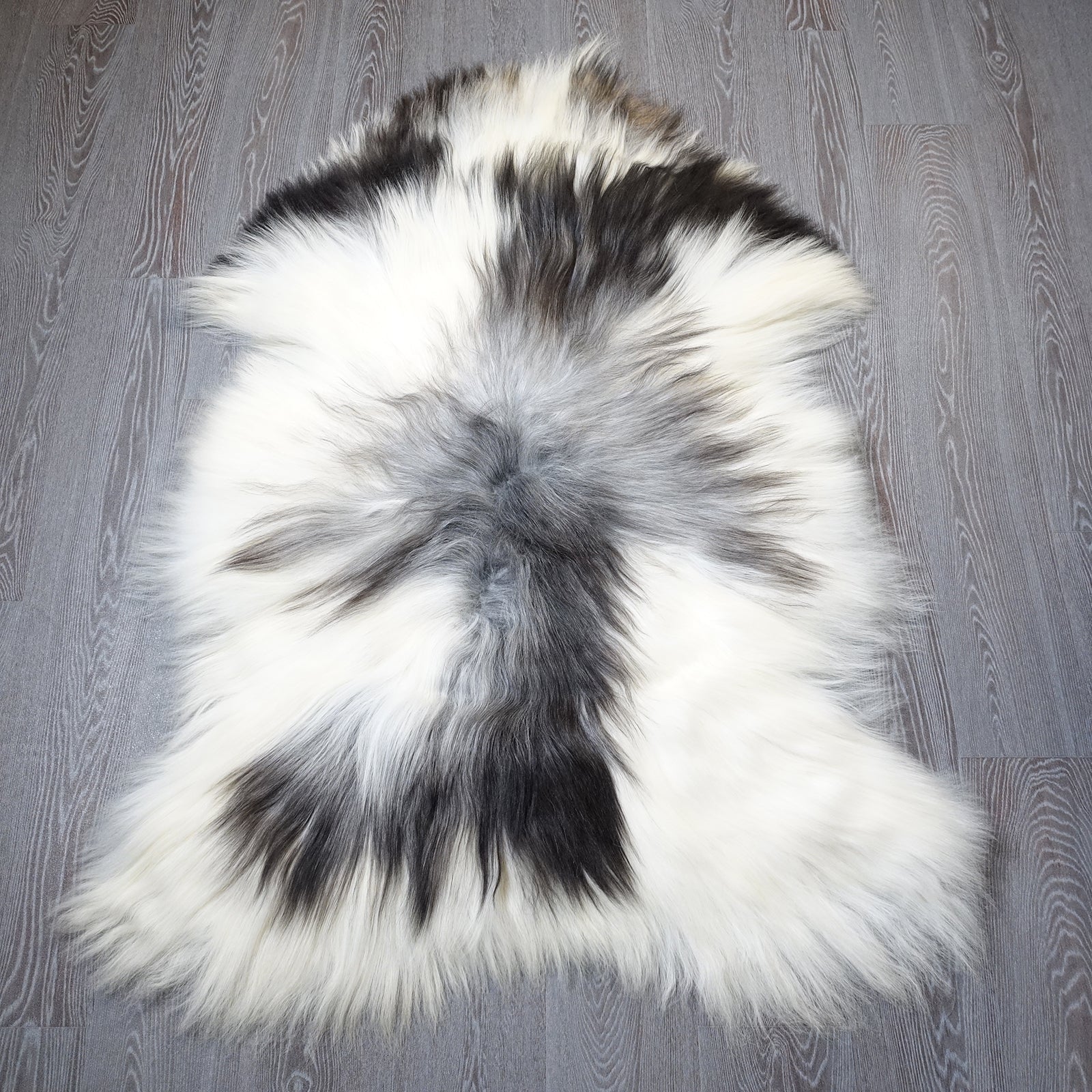 Exklusives Unikat Islandschaffell schwarz - weiß 140x100cm #15911