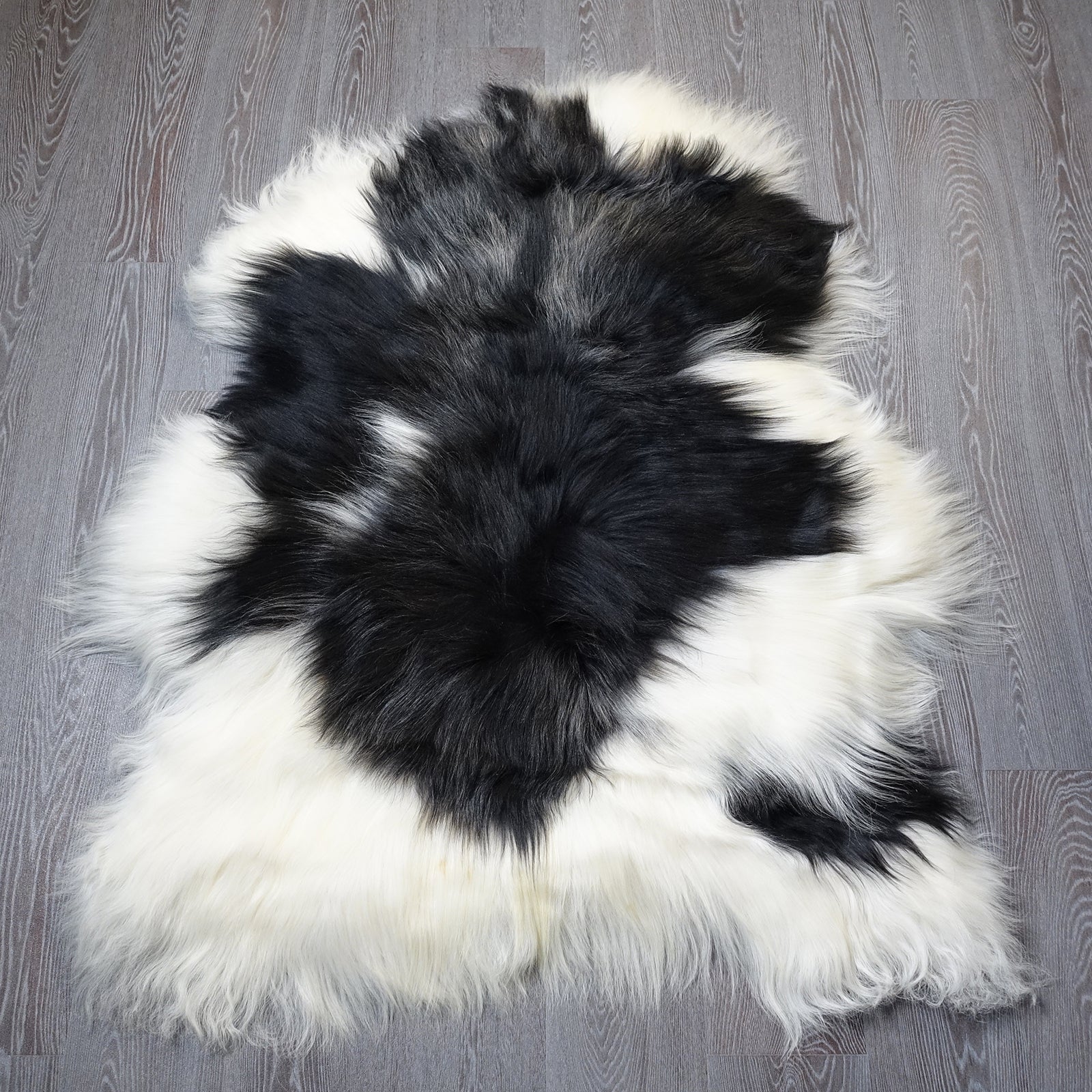 Exklusives Unikat Islandschaffell schwarz - weiß 130x105cm #15912