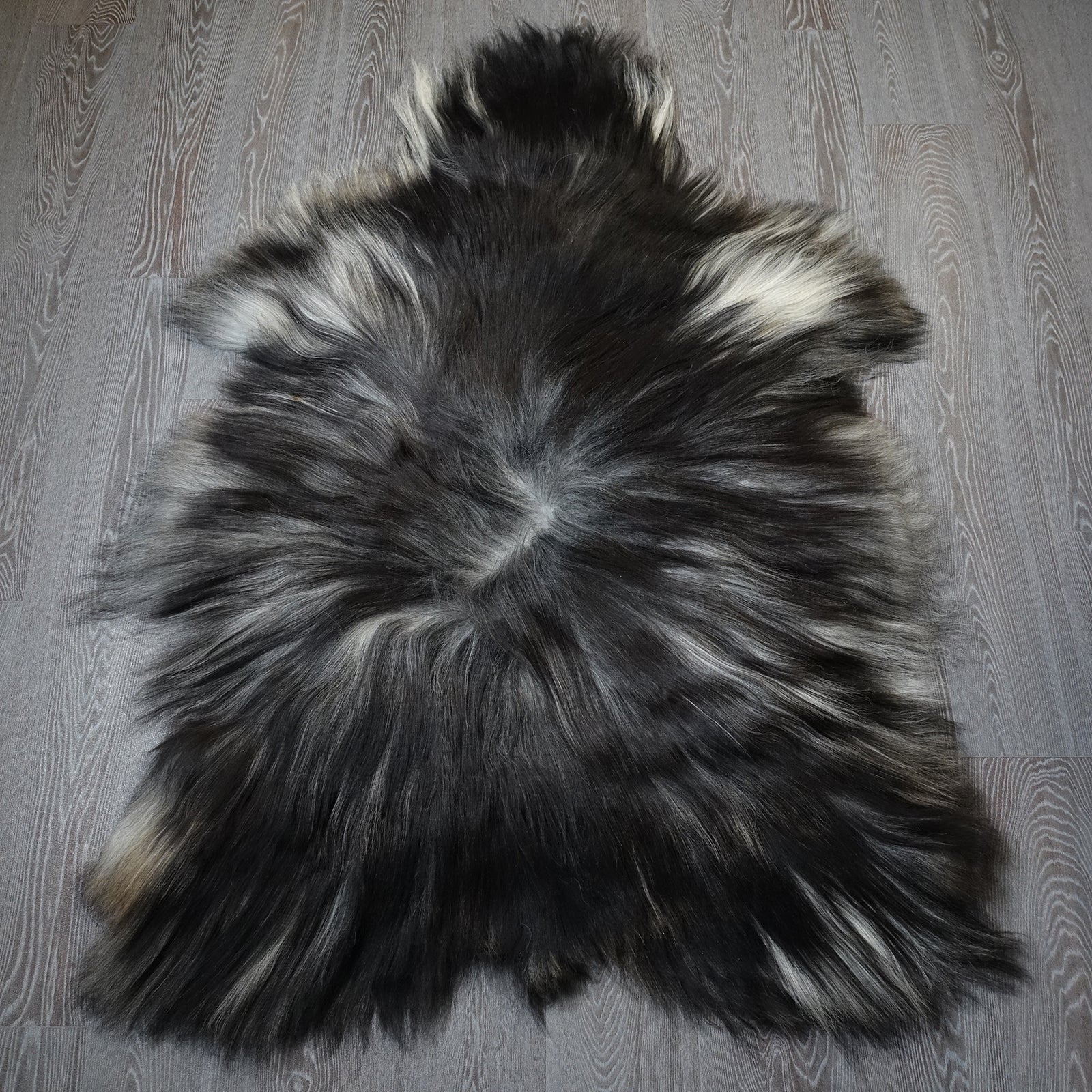 Exklusives Unikat Islandschaffell schwarz - weiß 150x100cm #15914