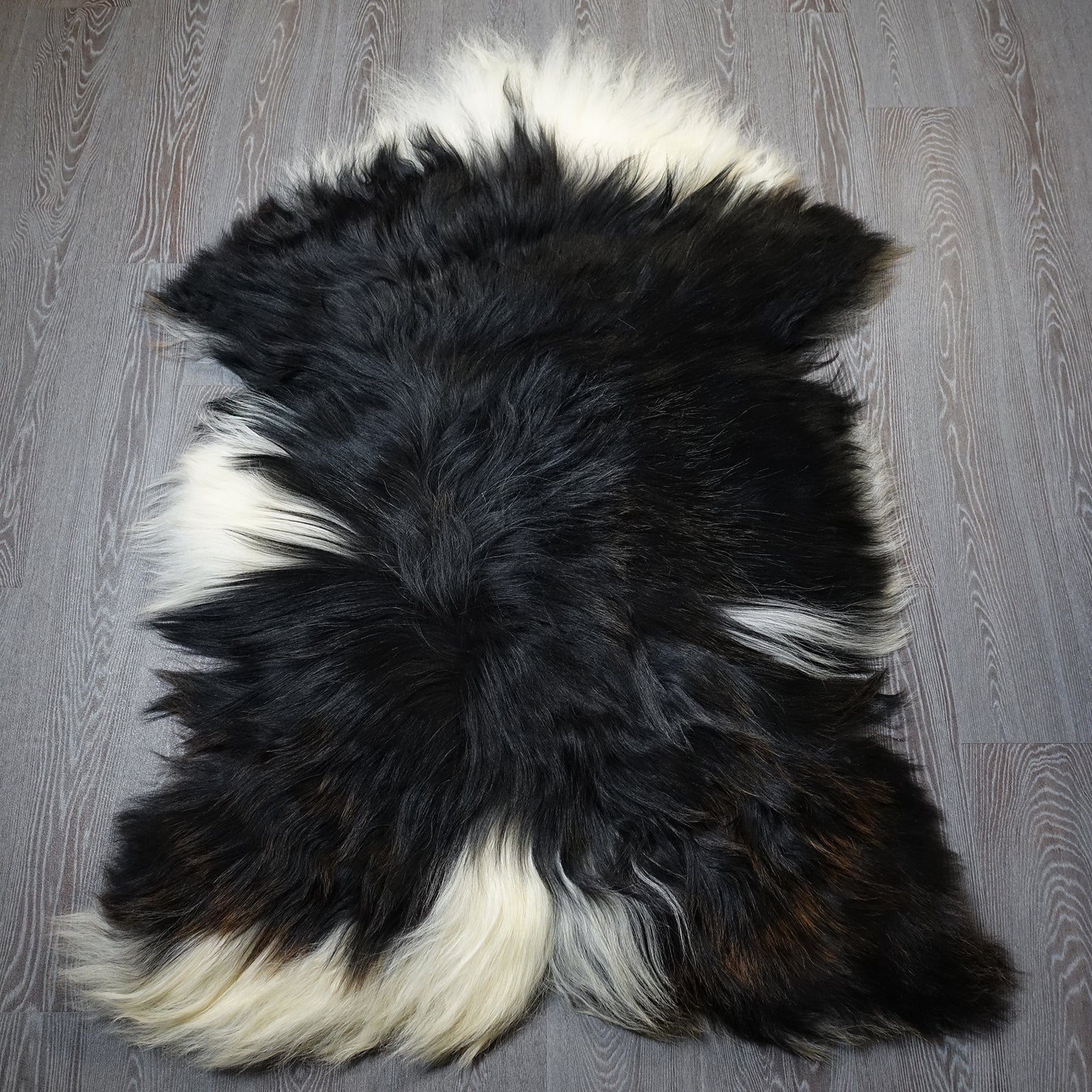 Exklusives Unikat Islandschaffell weiß - schwarz 150x100cm #15916