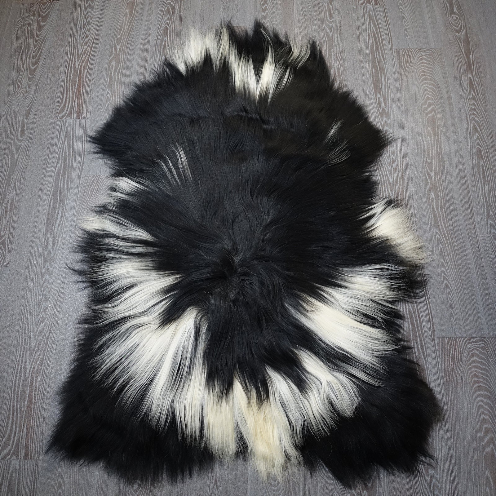 Exklusives Unikat Islandschaffell weiß - schwarz 140x95cm #15920