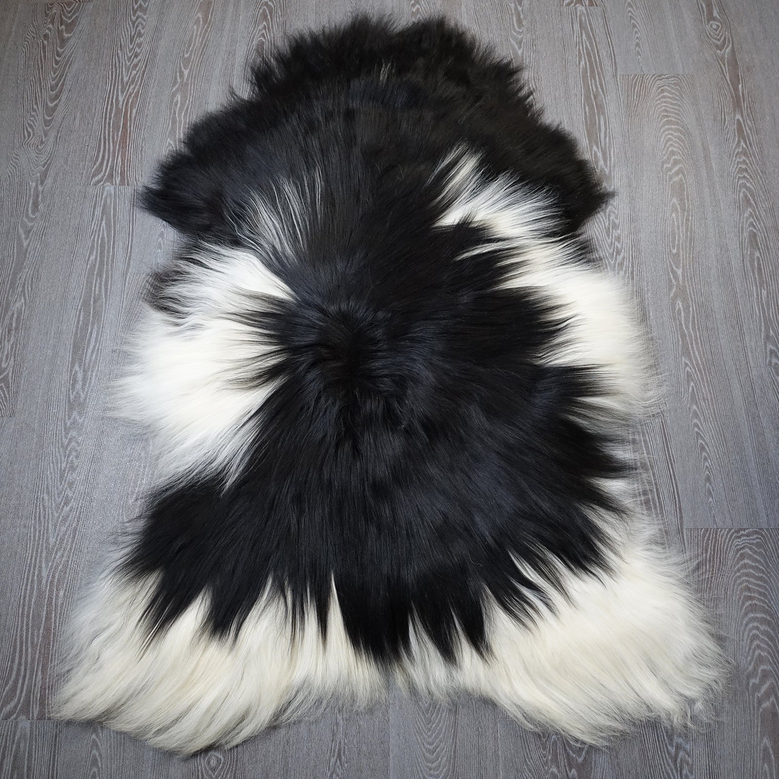 Exklusives Unikat Islandschaffell weiß - schwarz 150x100cm #15923