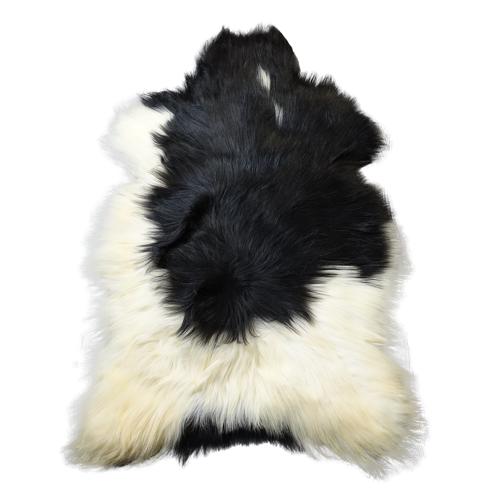 Exklusives Unikat Islandschaffell weiß - schwarz 140x90cm #15925