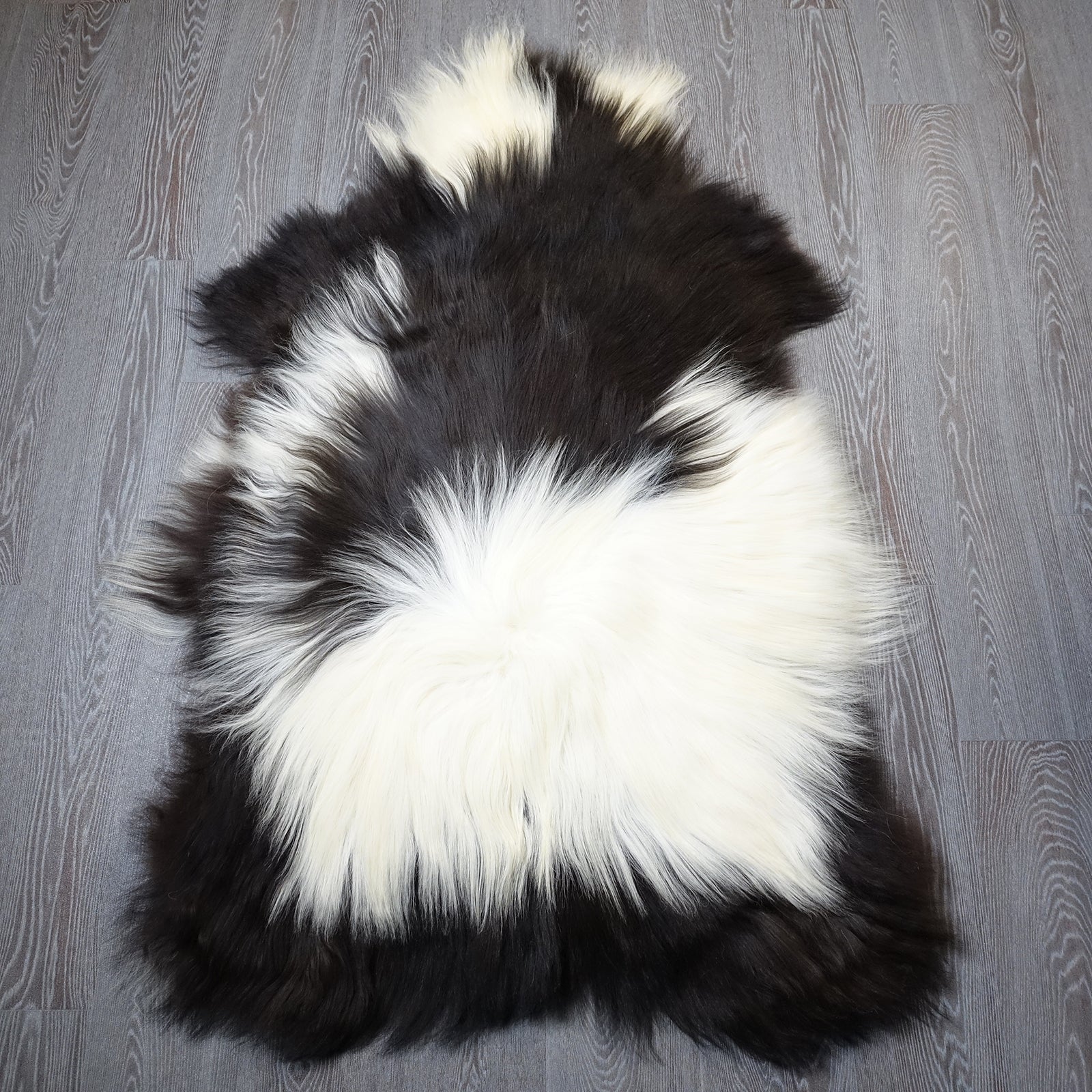Exklusives Unikat Islandschaffell schwarz - weiß 145x95cm #15929
