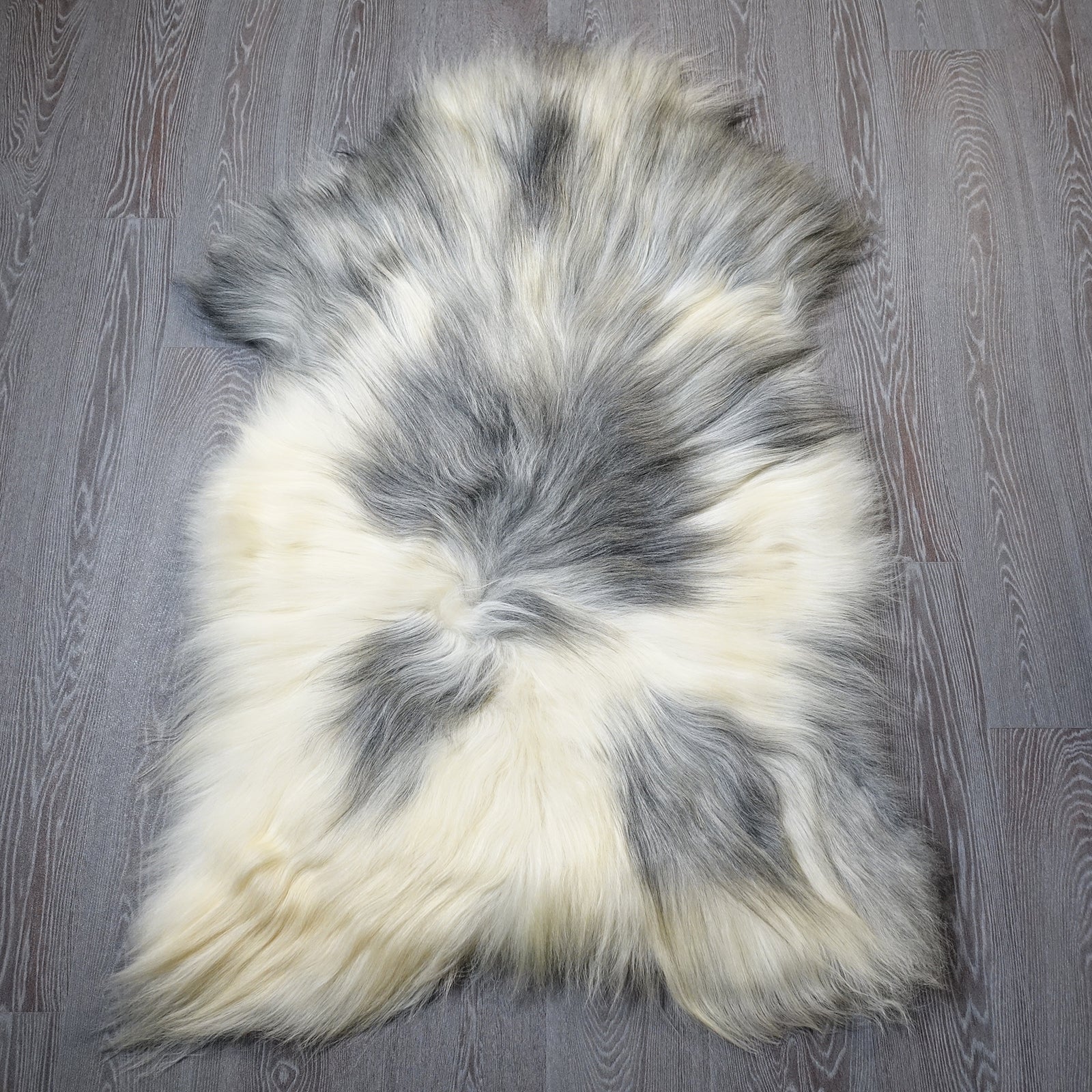 Exklusives Unikat Islandschaffell weiß - grau 135x90cm #15946