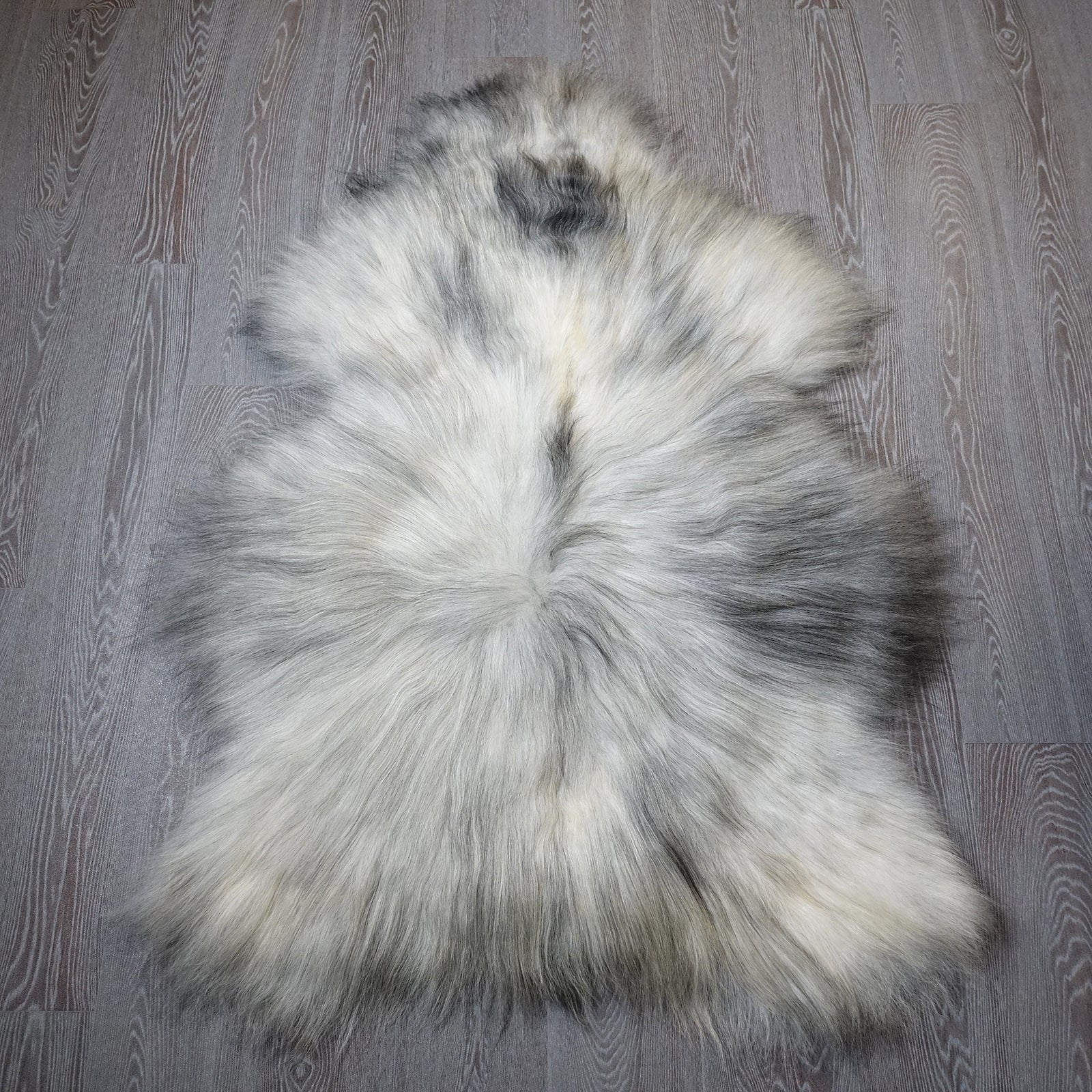 Exklusives Unikat Islandschaffell weiß - grau 140x100cm #15953