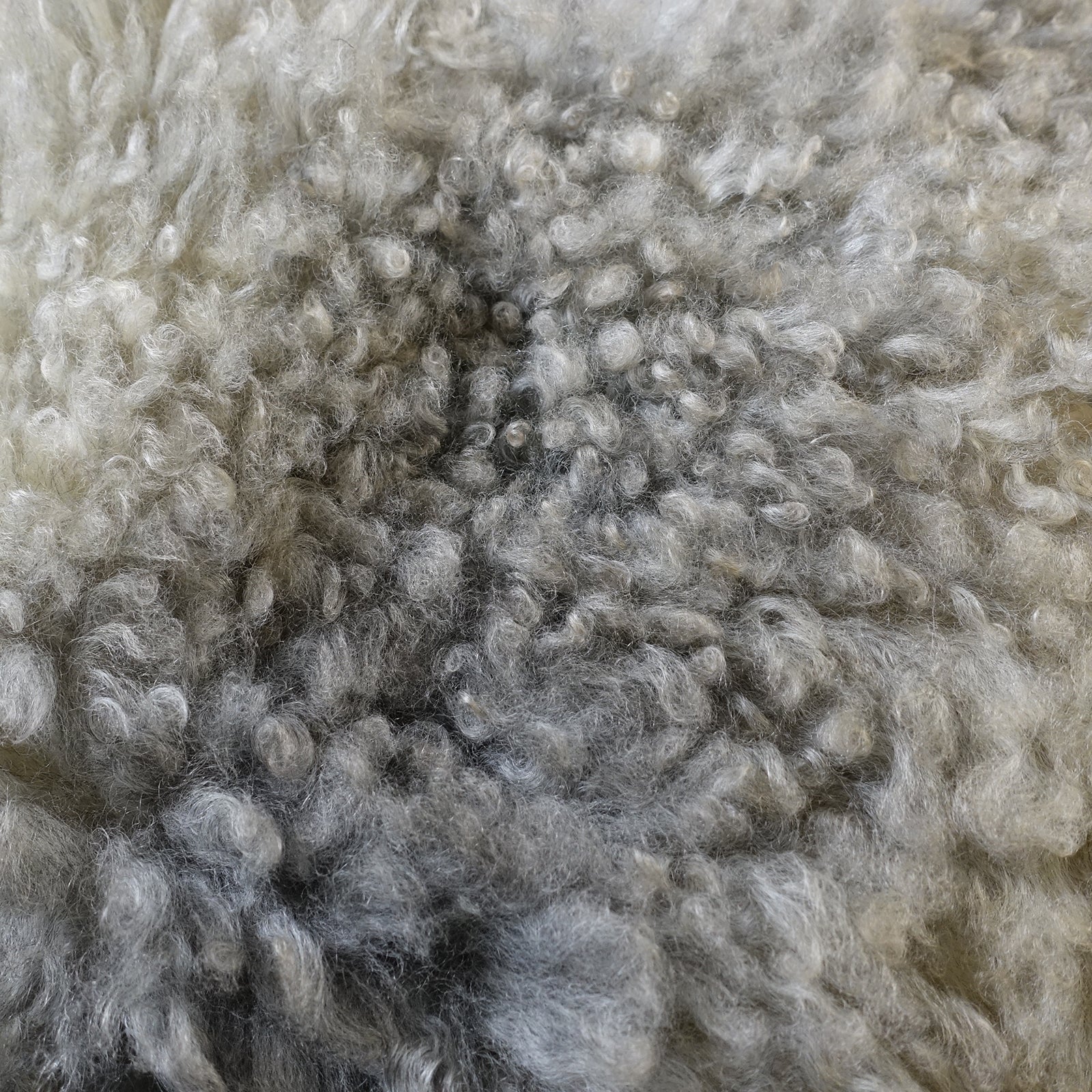 Exklusives Unikat Lammfell grau - weiß 110x80cm #15891