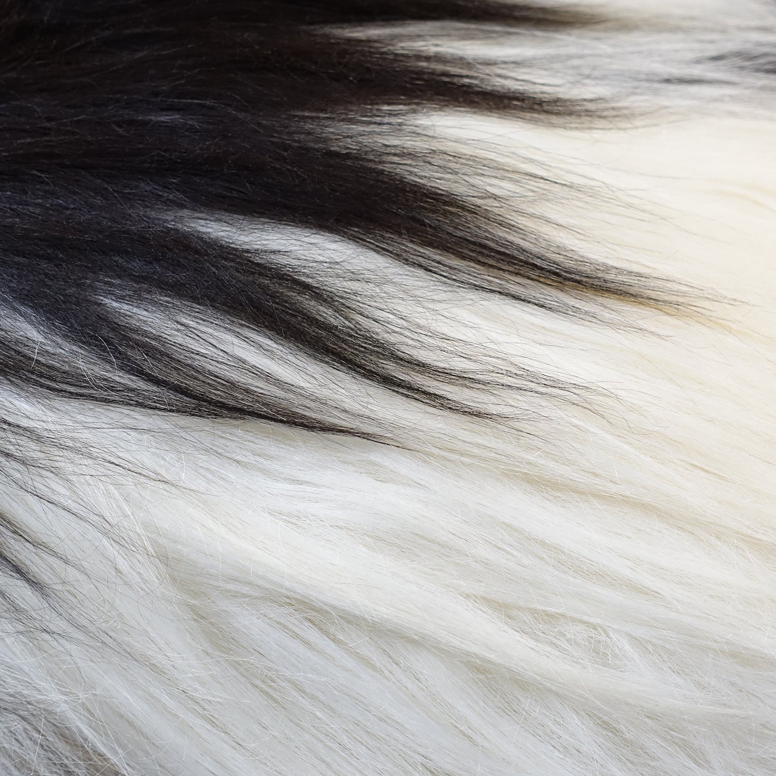 Exklusives Unikat Islandschaffell schwarz - weiß 145x95cm #15929