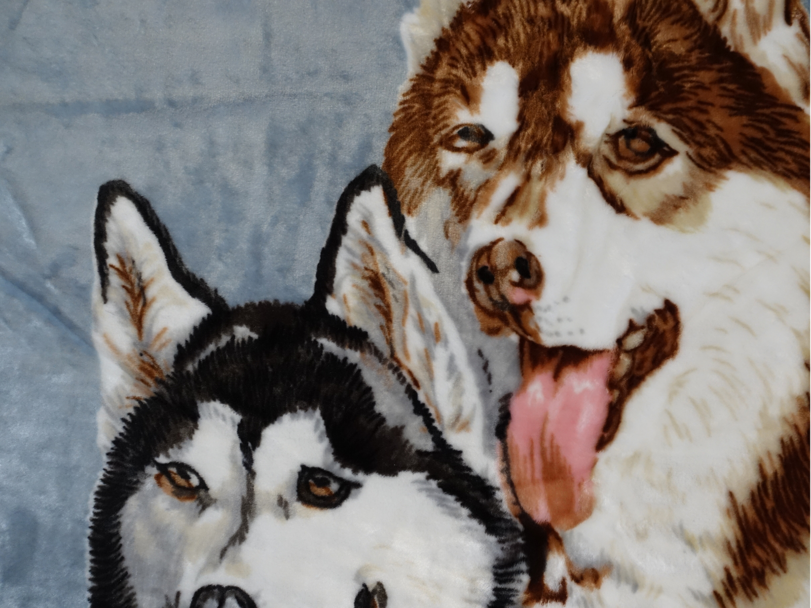Kuscheldecke Tagesdecke Wohndecke Tiermotiv 3 Huskies blau - 2. Wahl