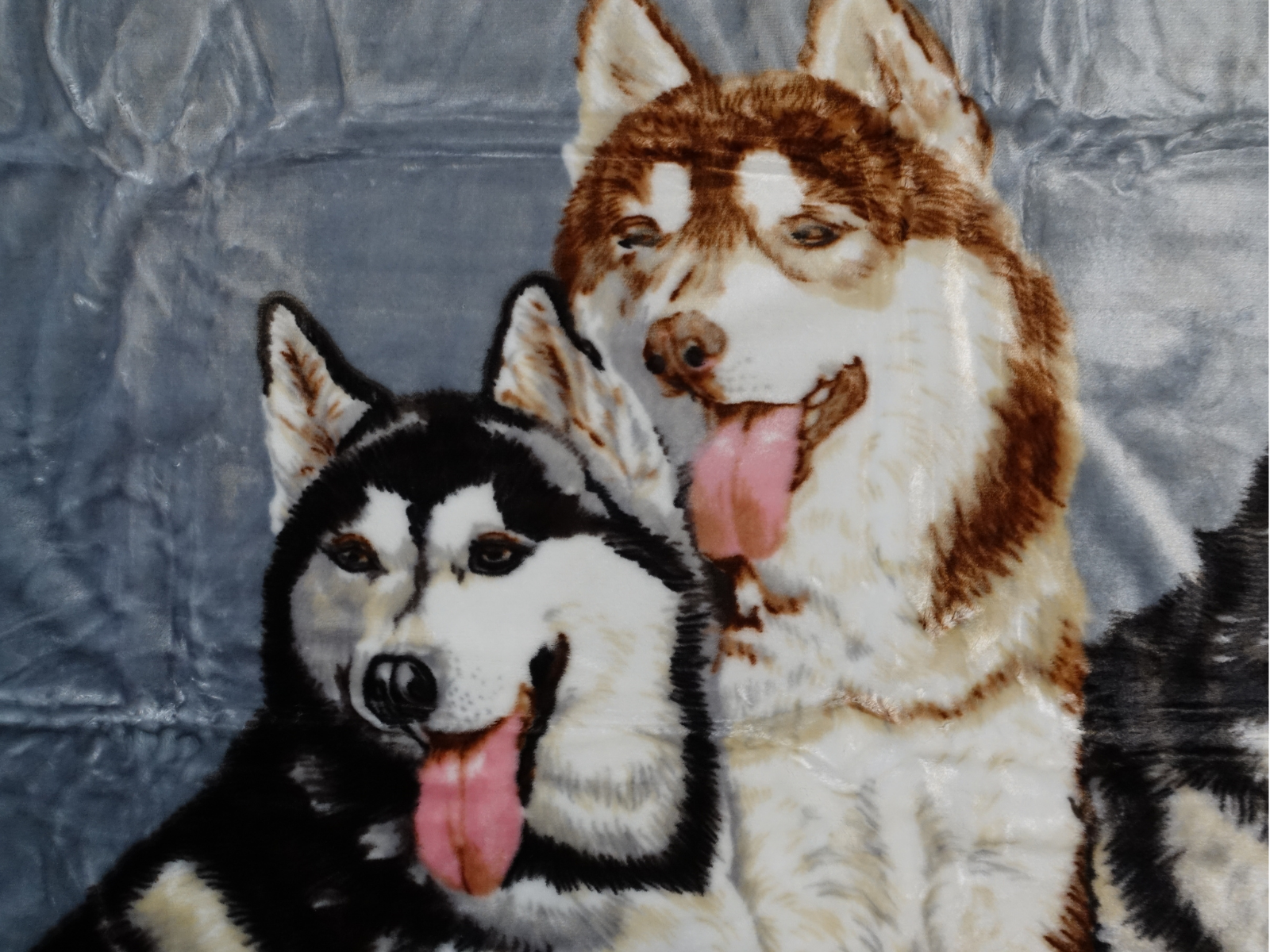 Kuscheldecke Tagesdecke Wohndecke Tiermotiv 3 Huskies blau - 2. Wahl