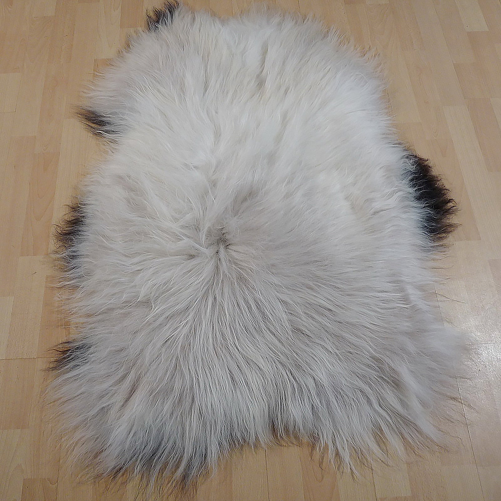 Exklusives Unikat Islandschaffell weiß - schwarz 120x85cm #13457