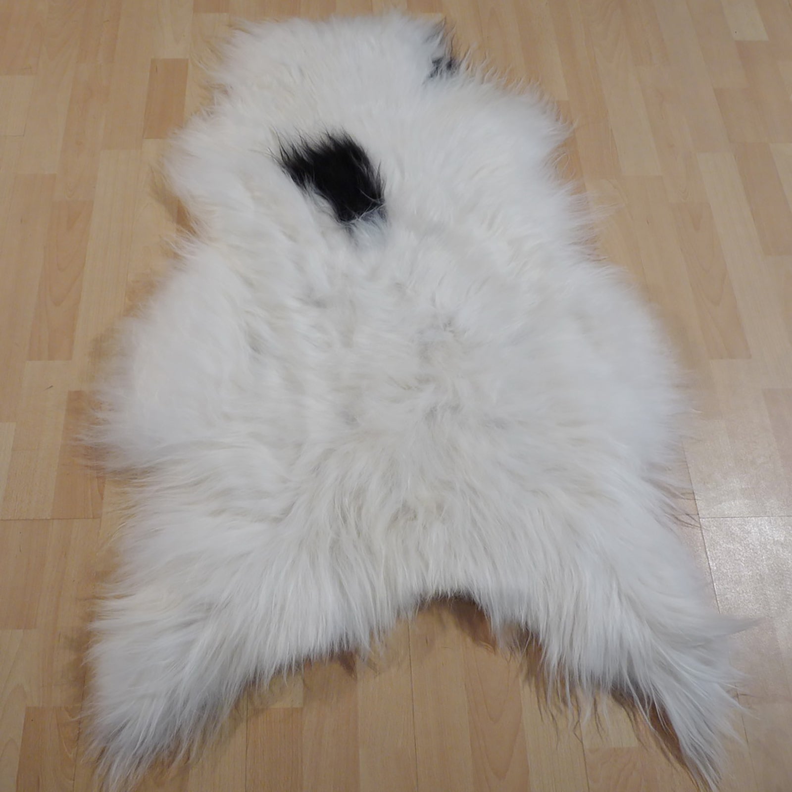 Exklusives Unikat Islandschaffell weiß - schwarz 120x90cm #13464