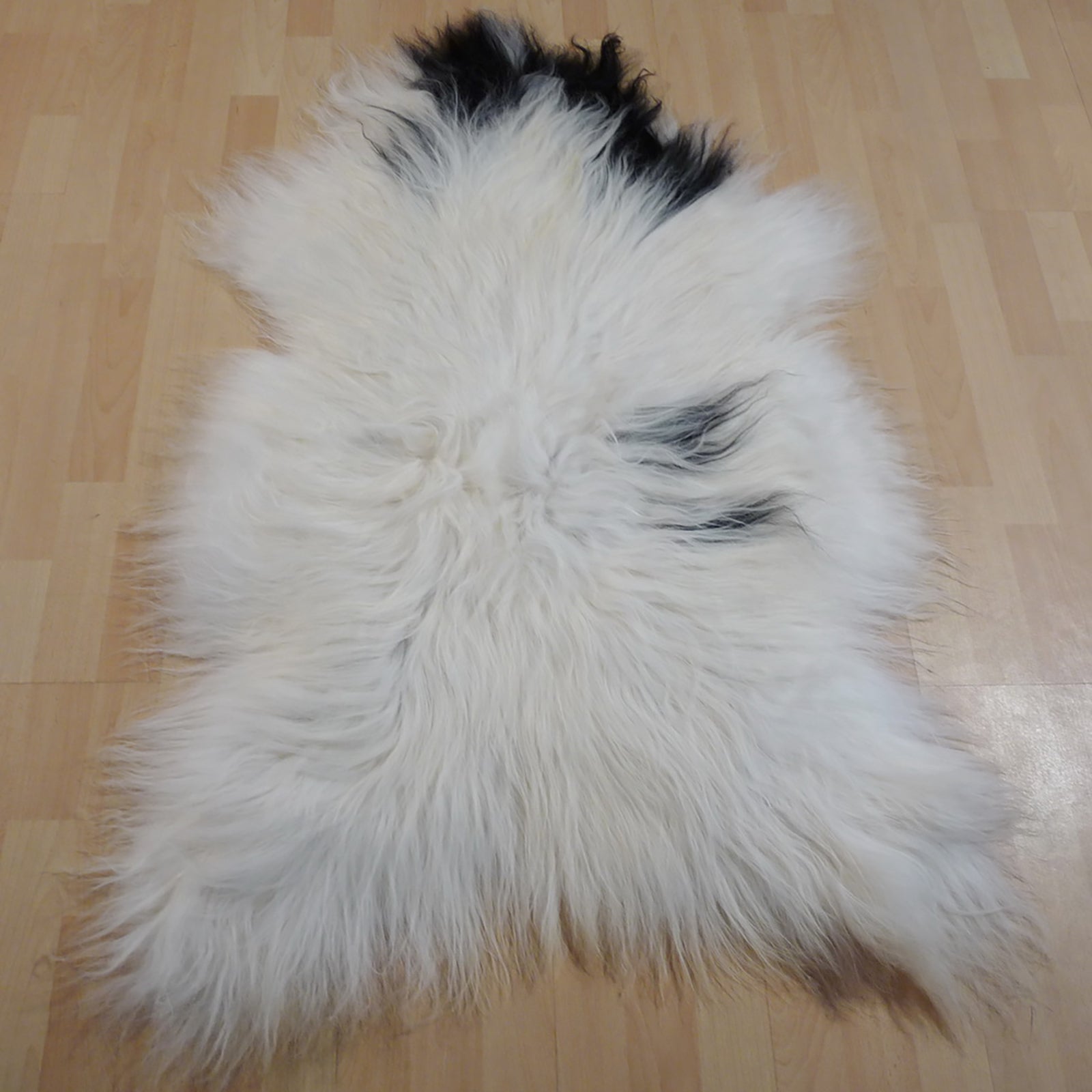 Exklusives Unikat Islandschaffell weiß - schwarz 130x90cm #13465