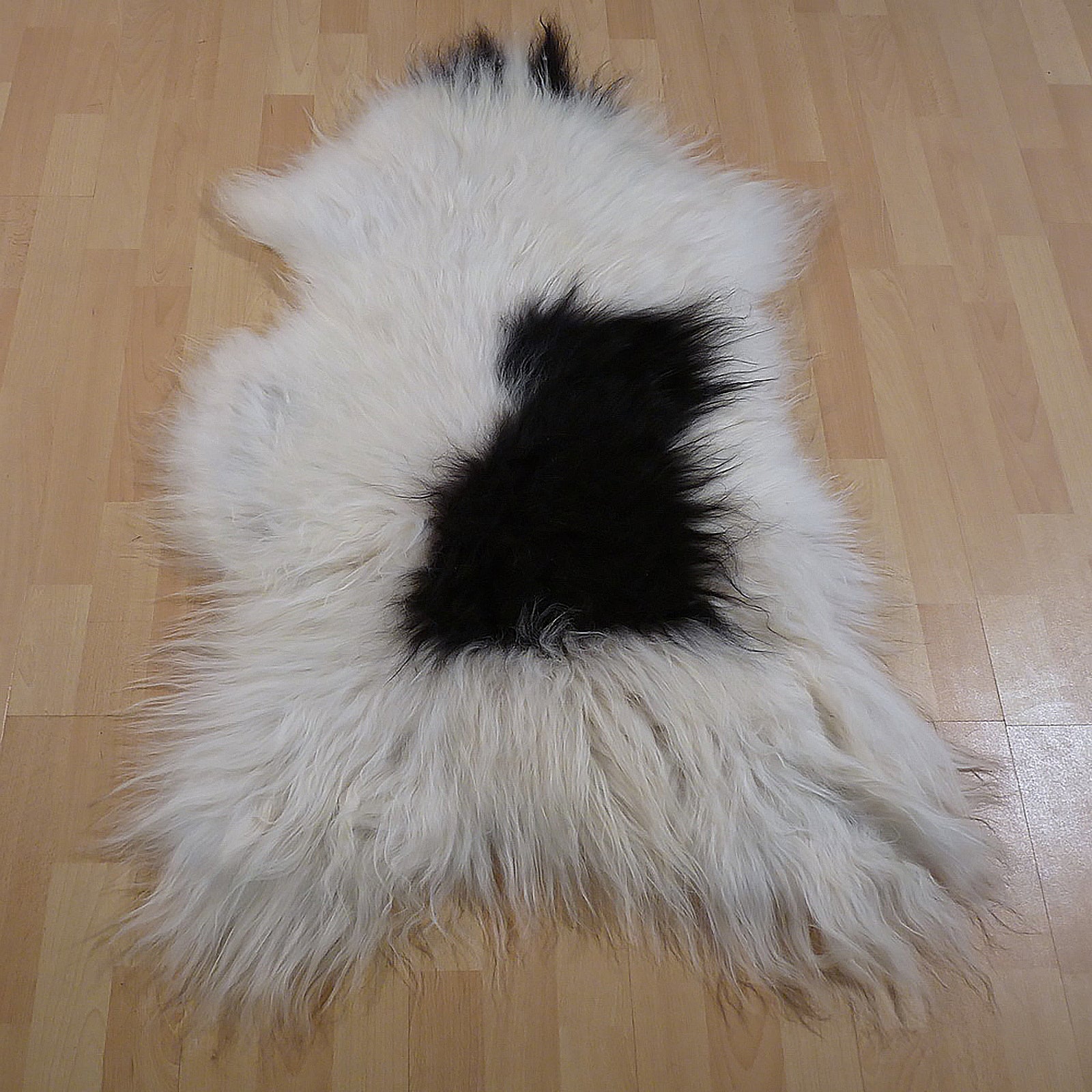 Exklusives Unikat Islandschaffell weiß - schwarz 120x80cm #13601