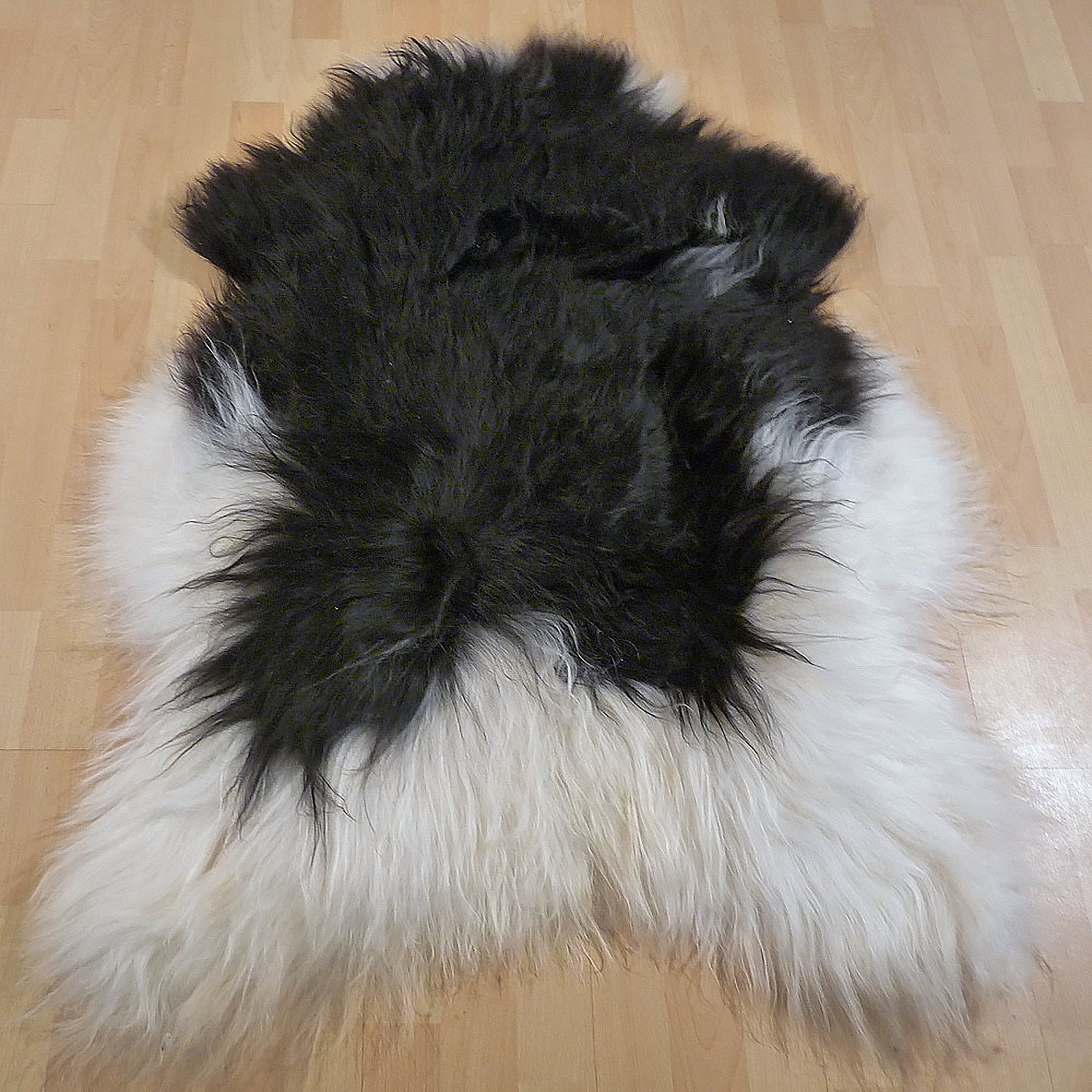 Exklusives Unikat Islandschaffell weiß - schwarz 120x90cm #13628