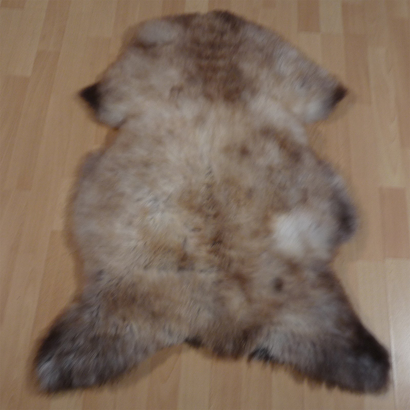 Exklusives Unikat Lammfell weiß - hellbraun 110x75cm #14264