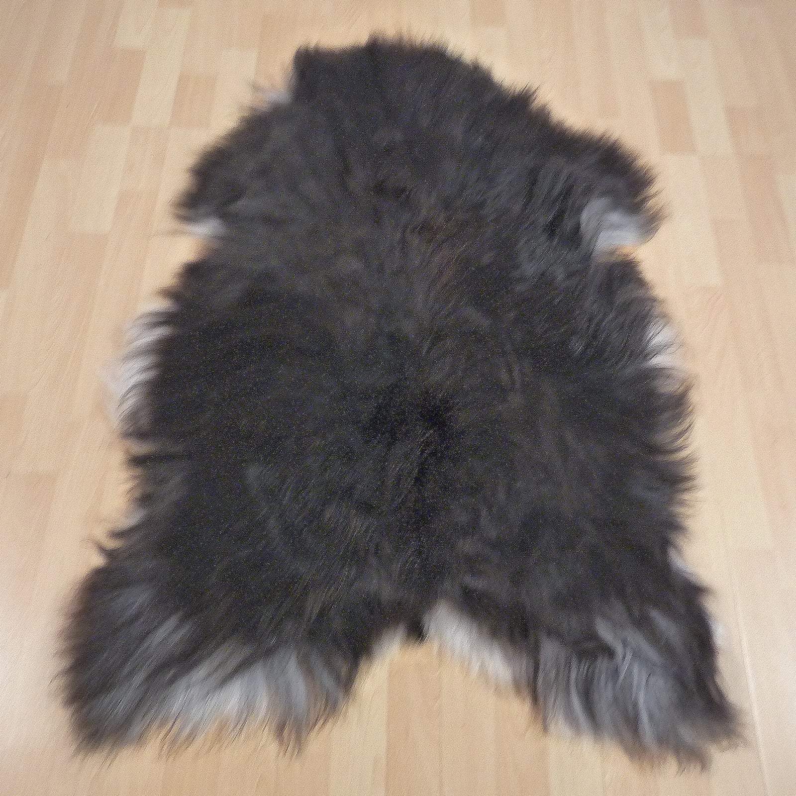 Exklusives Unikat Islandschaffell schwarz - weiß 120x85cm #14775