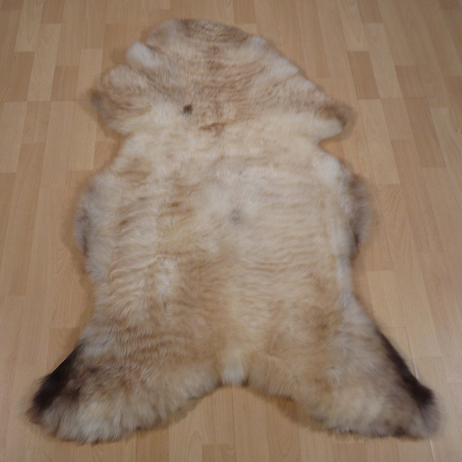 Exklusives Unikat Lammfell weiß - grau - braun 115x80cm #14804
